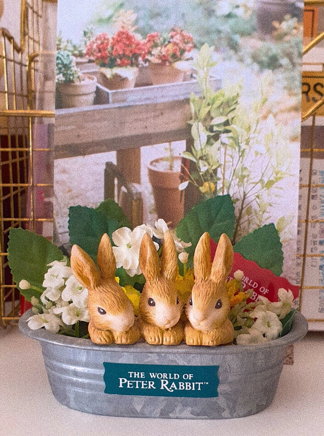 꼬마 토끼들🐰🐰🐰