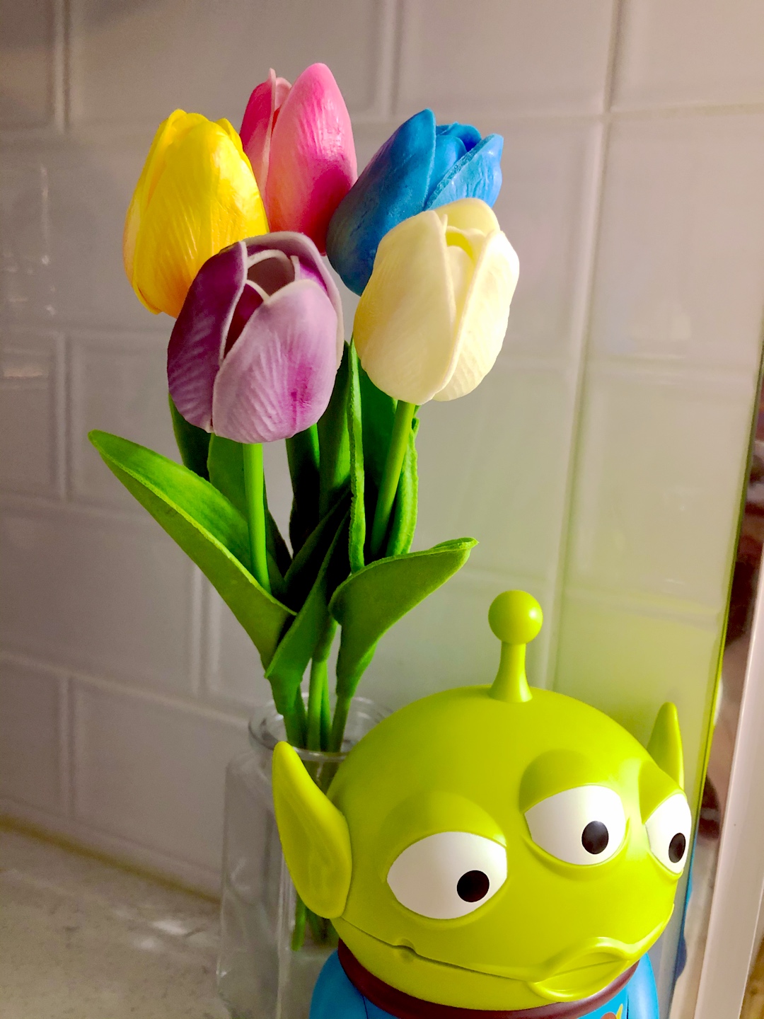 튤립과 알린 🌷💚