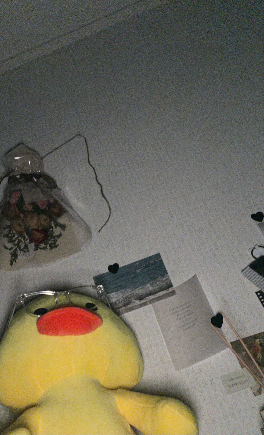 🐥+🕶=🤍