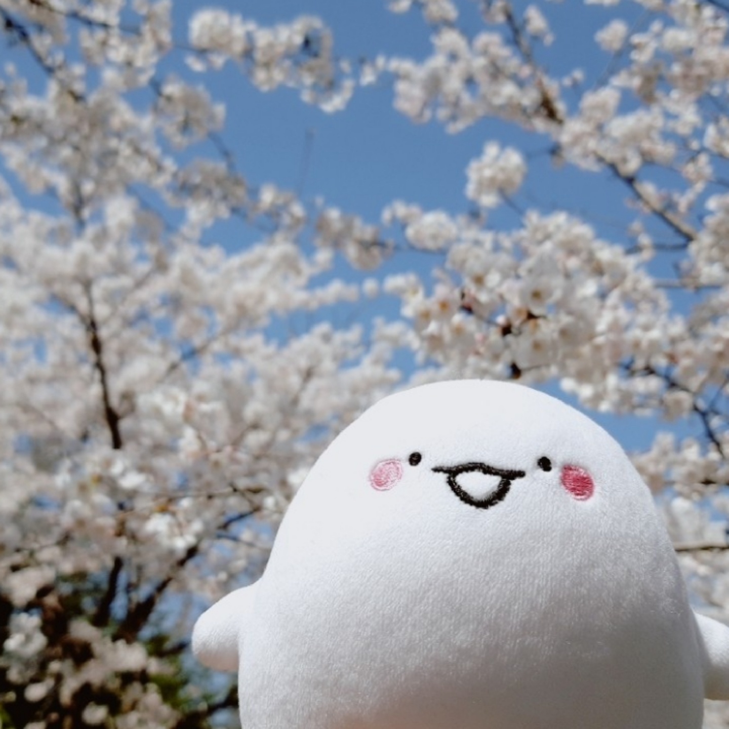 💮익명이💮