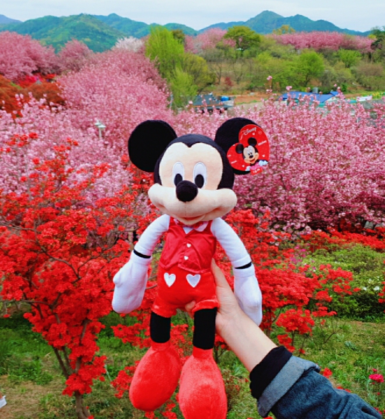 MICKEY MOUSE