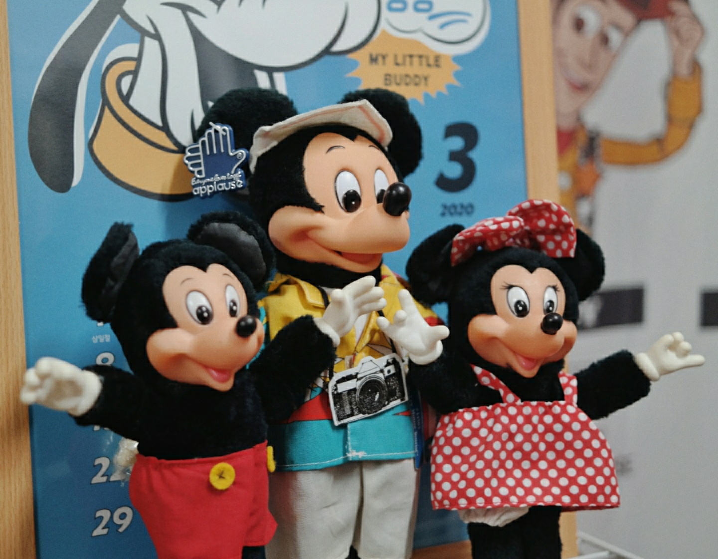 MICKEY & MINNIE