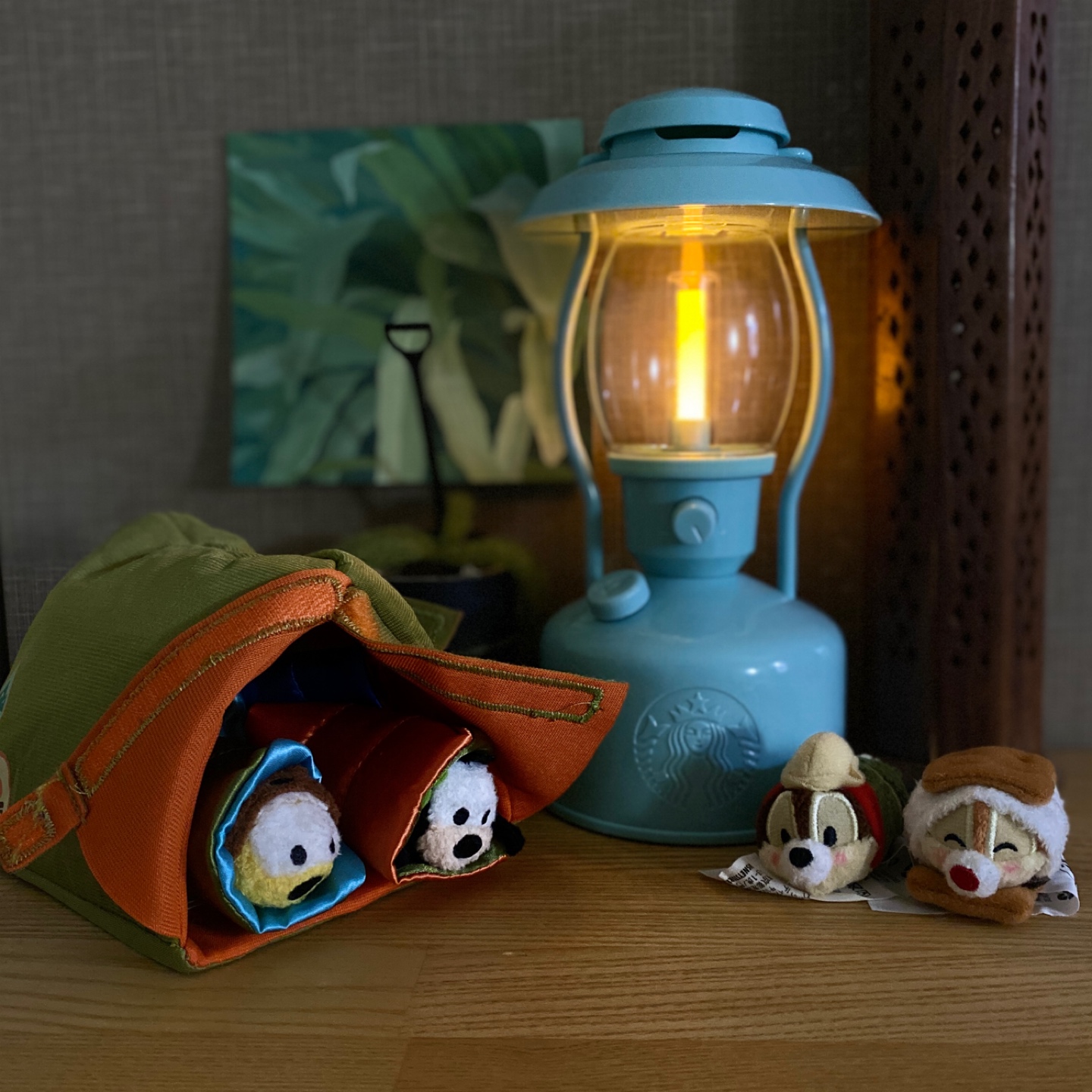Camping with tsum tsum
