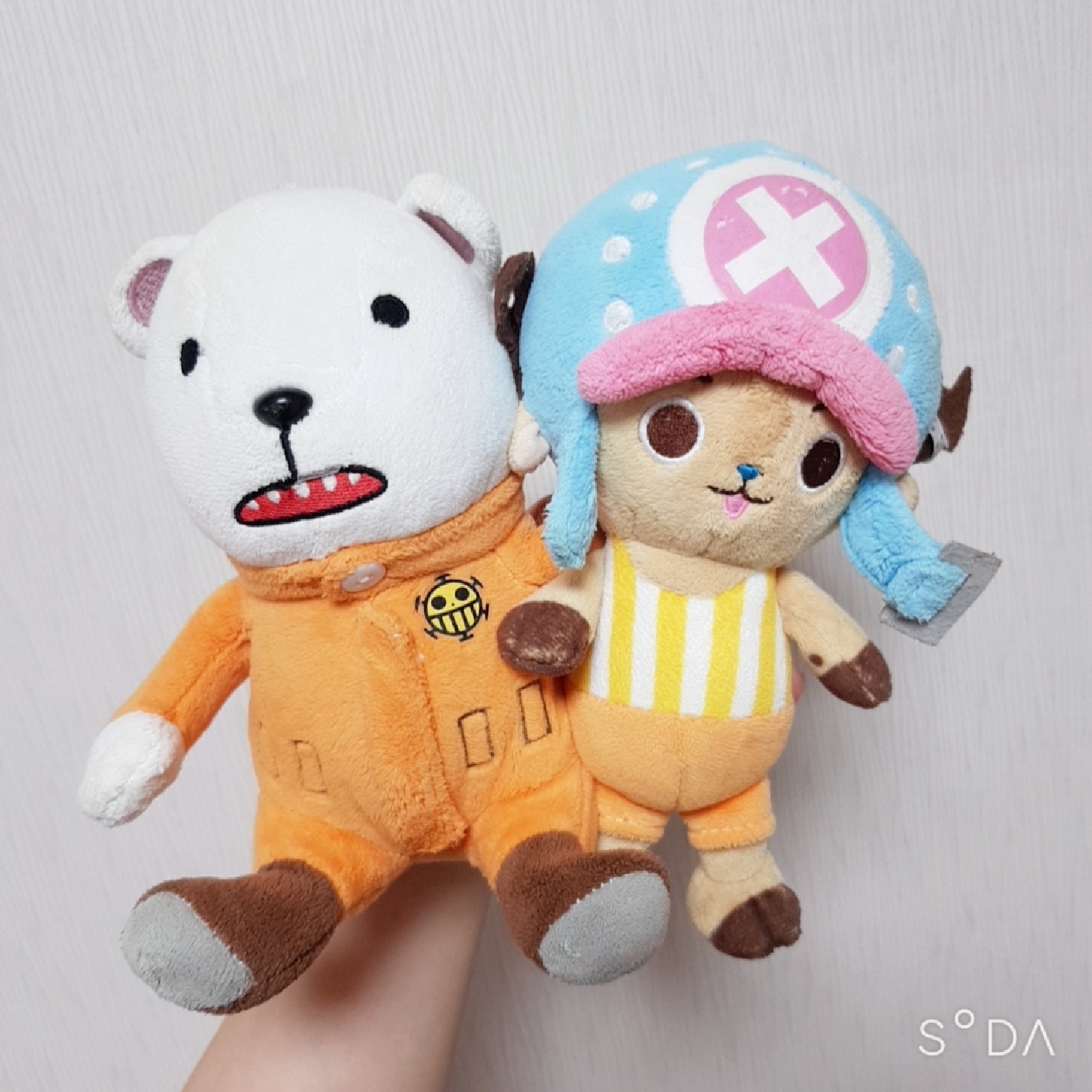 🐻 베포 & 쵸파 🦌