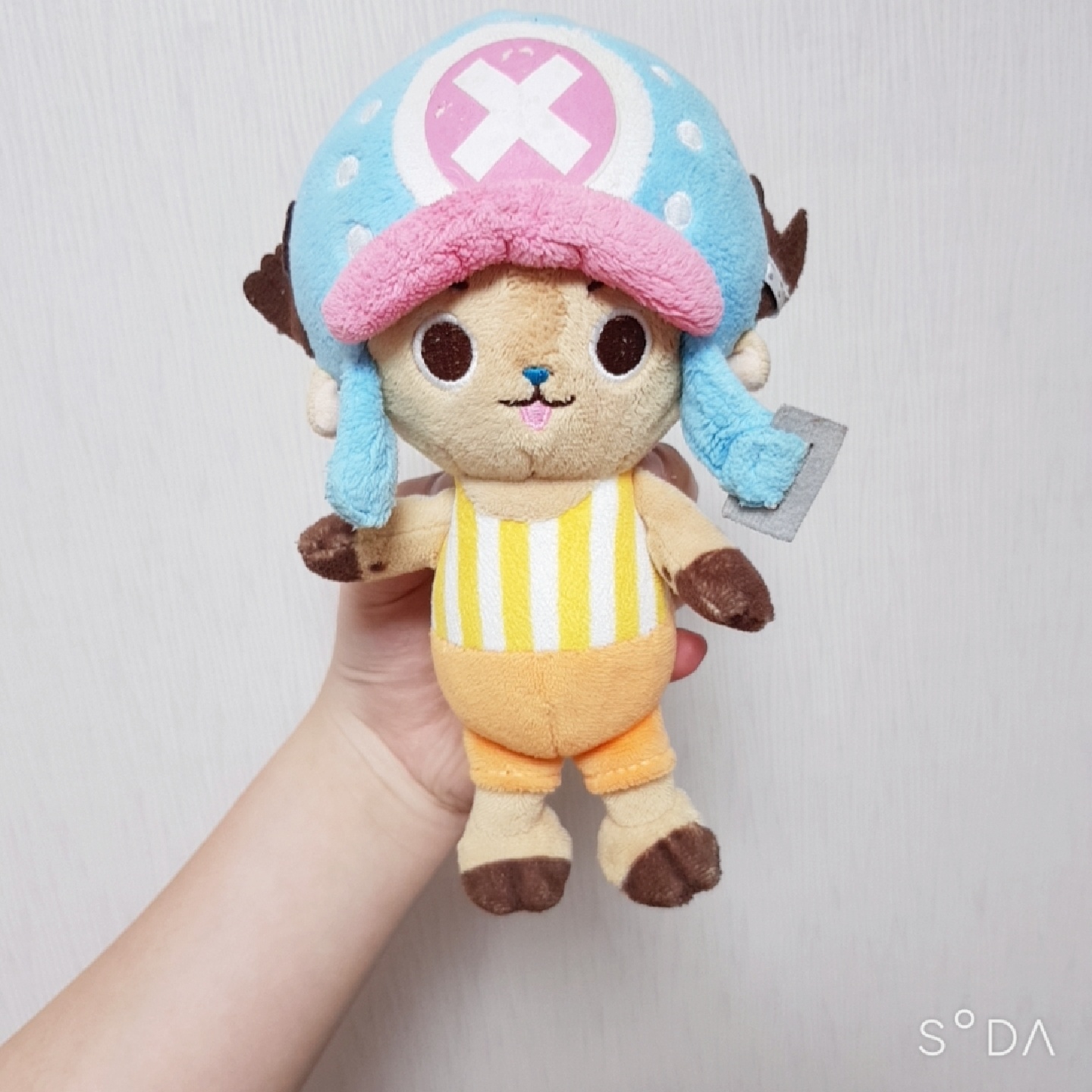 🐻 베포 & 쵸파 🦌