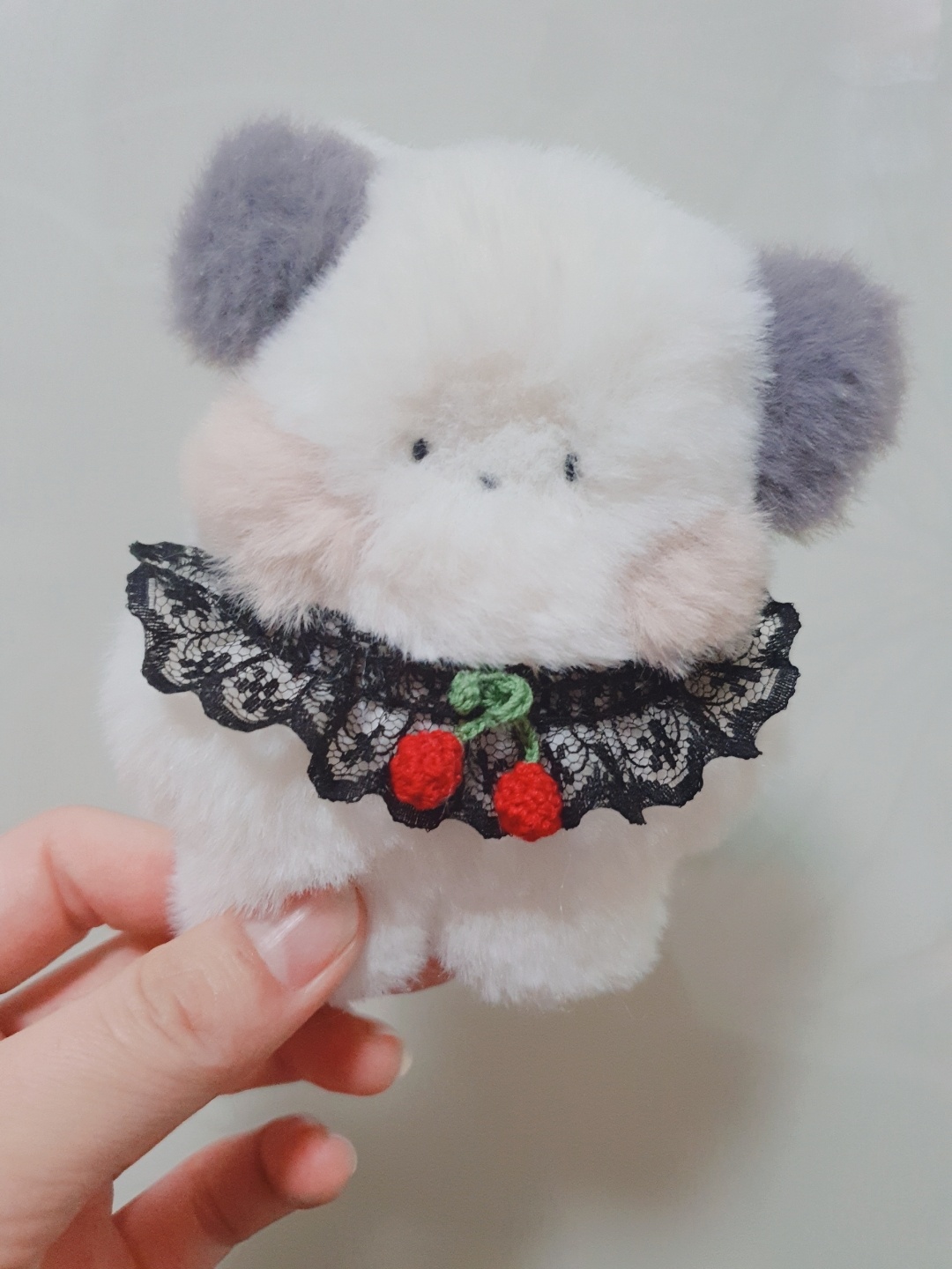 체리순돌이 🍒