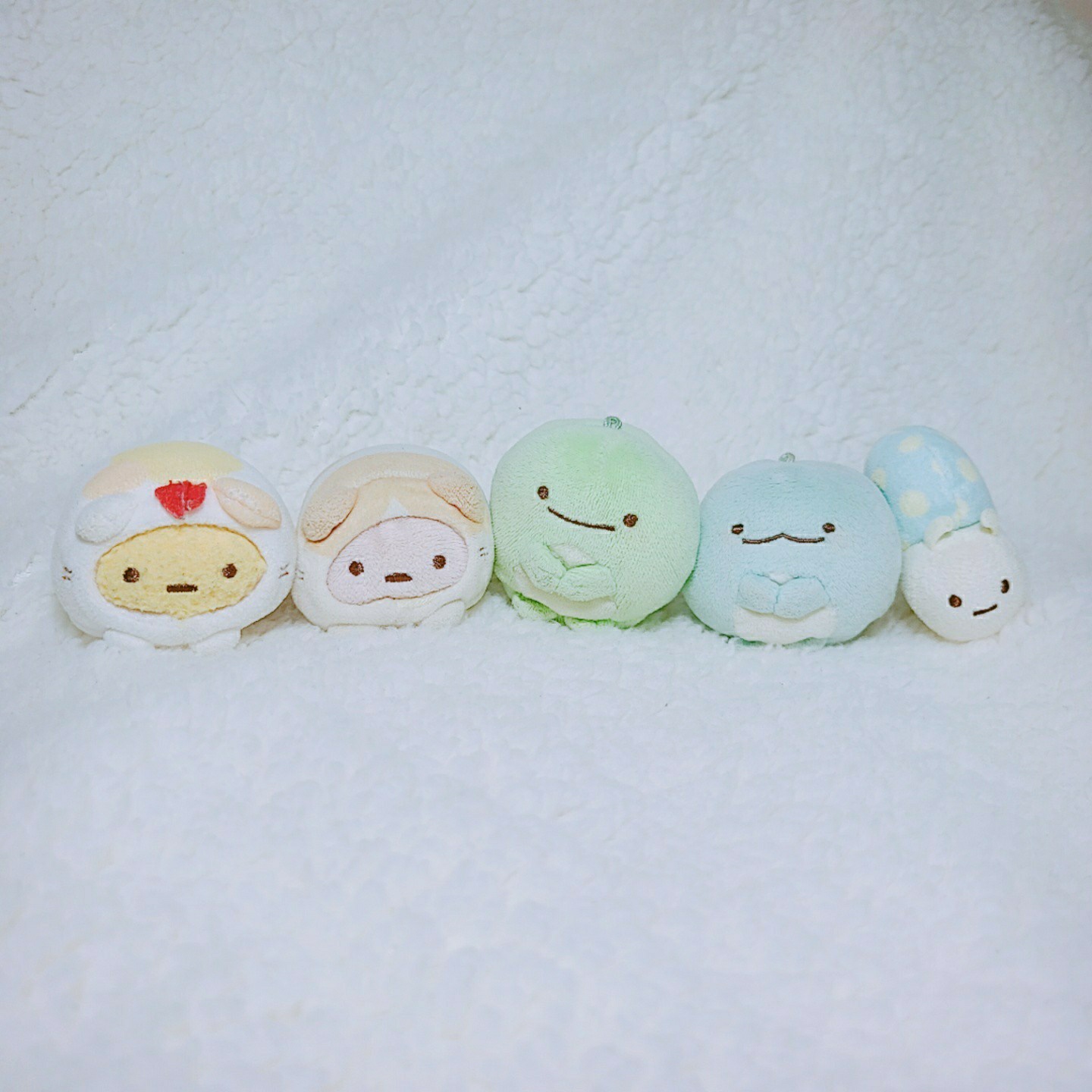 스밋코구라시 XS 사이즈 모음('^')