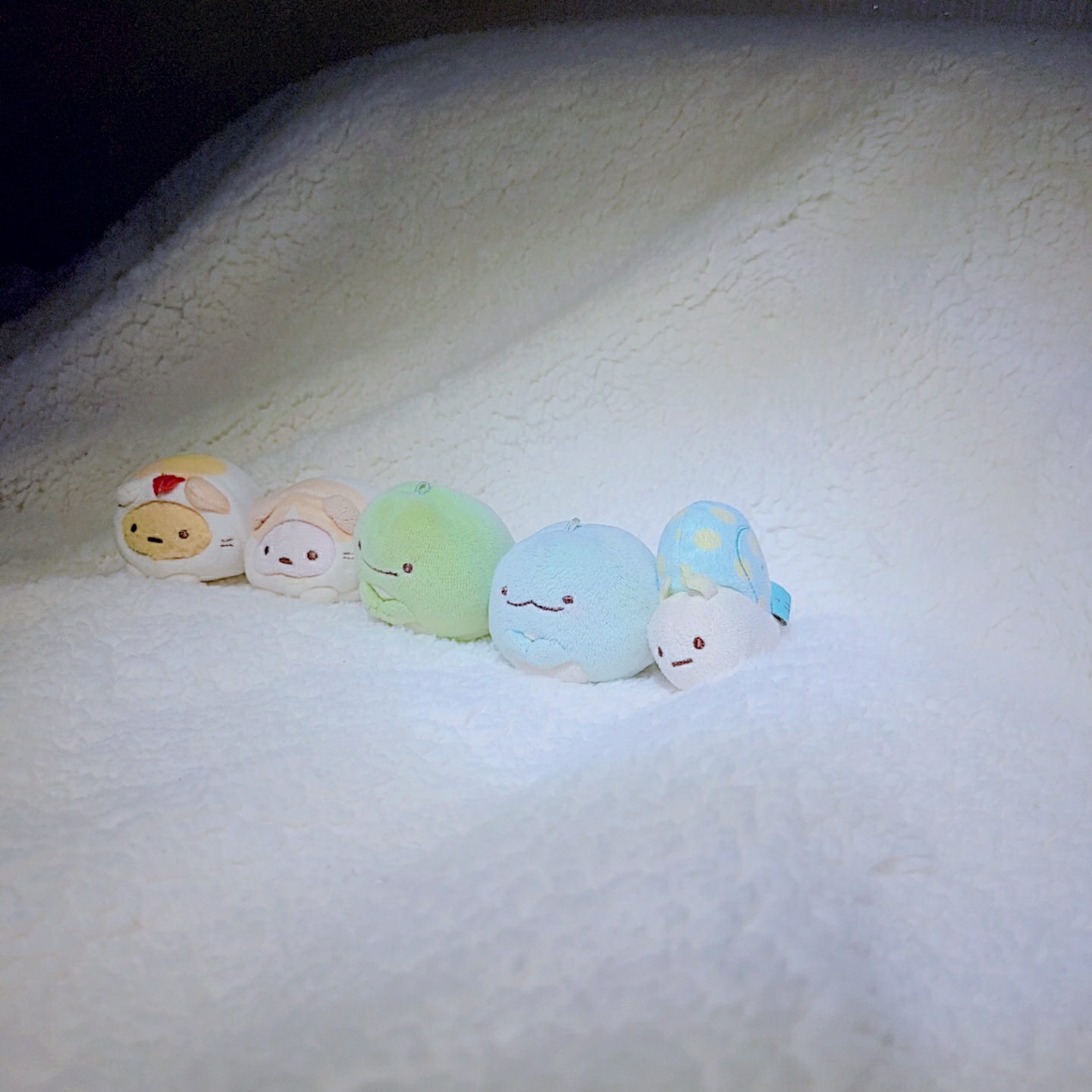 스밋코구라시 XS 사이즈 모음('^')