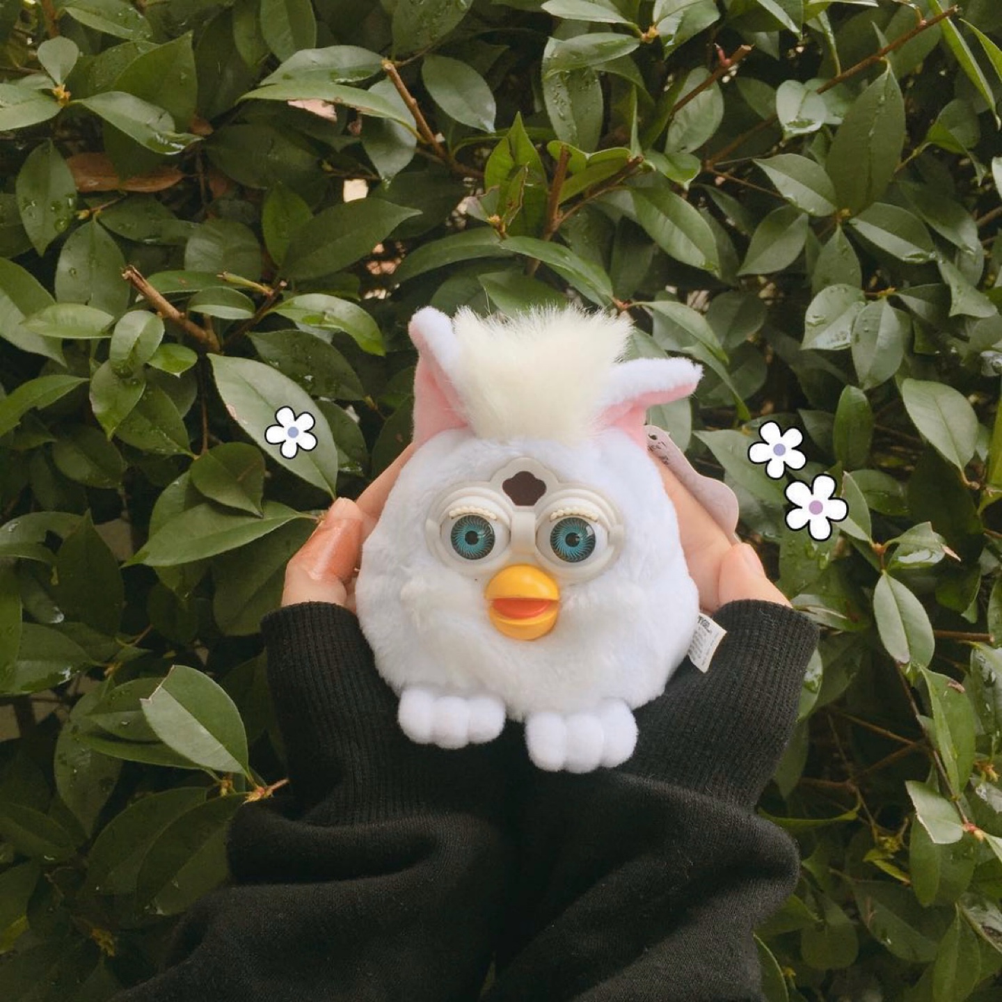 퍼비