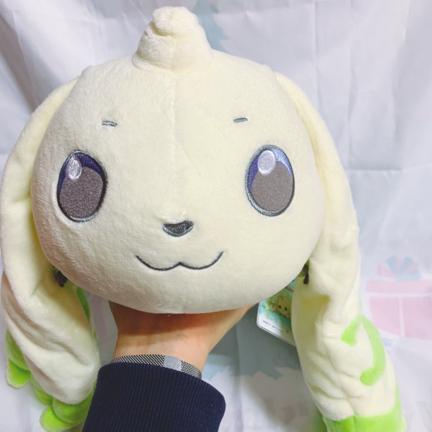 테리어몬💚