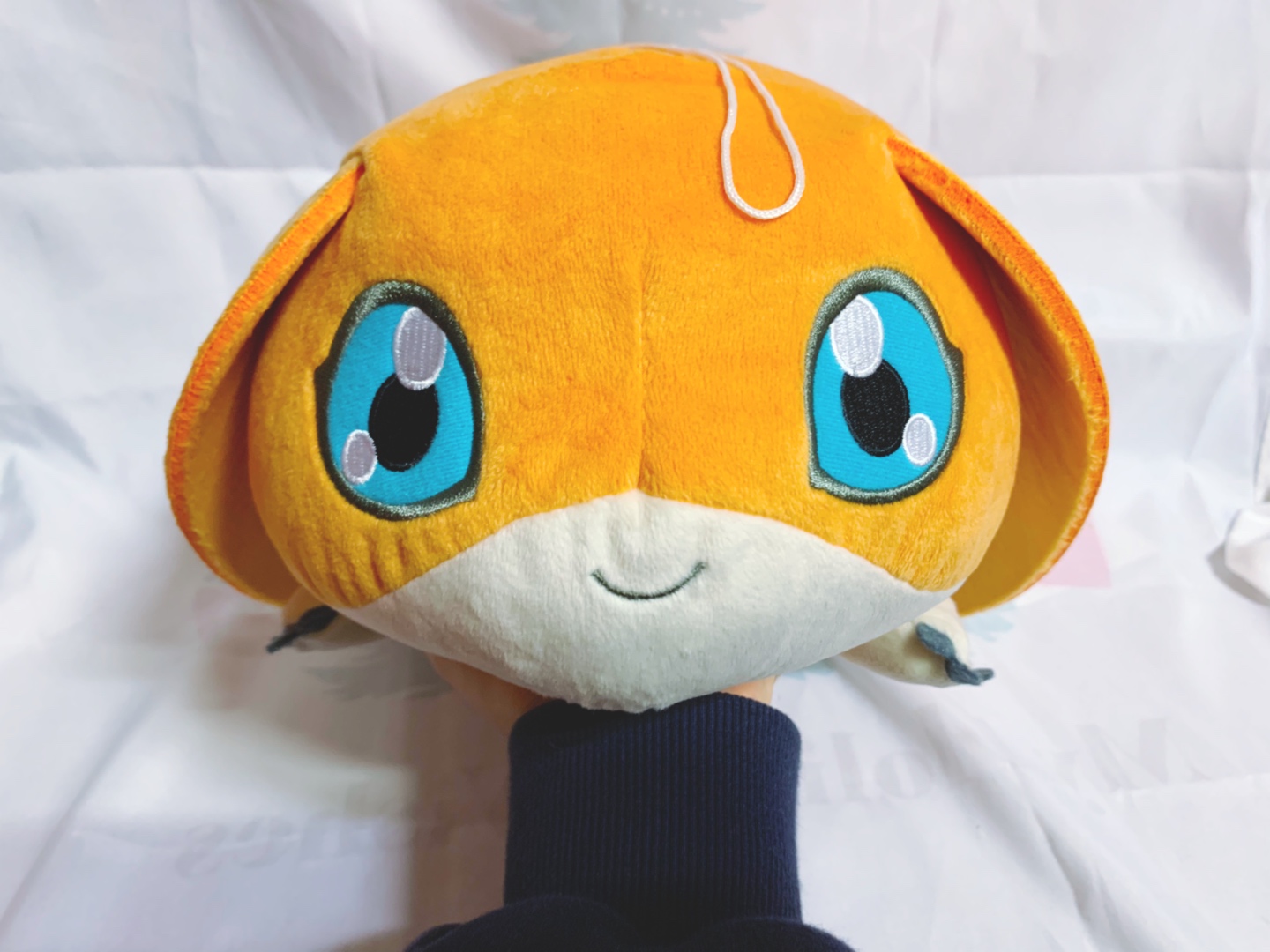 파닥몬🧡