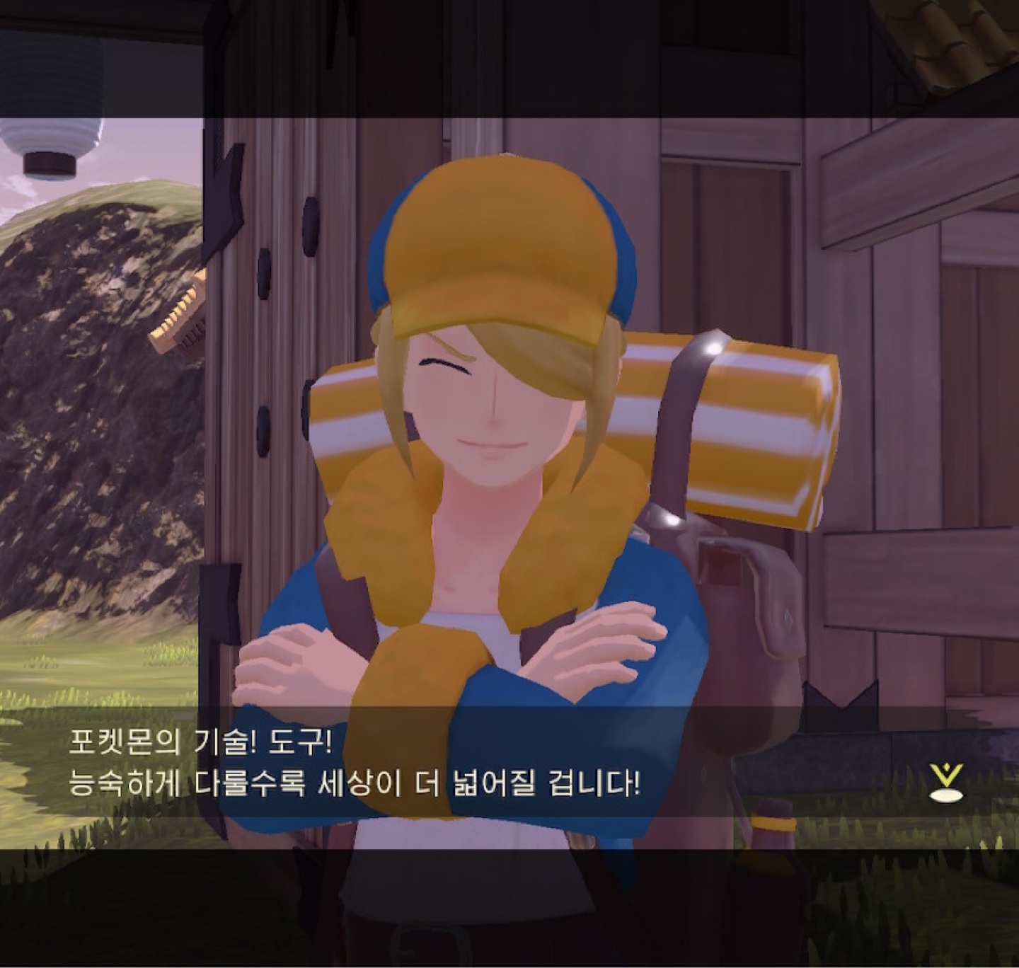 포켓몬스터 레전드 아르세우스