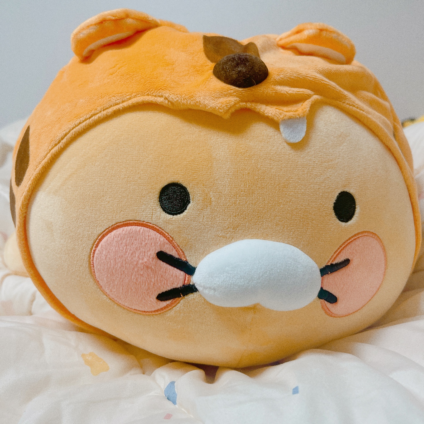 어흥 춘식이 🐯 