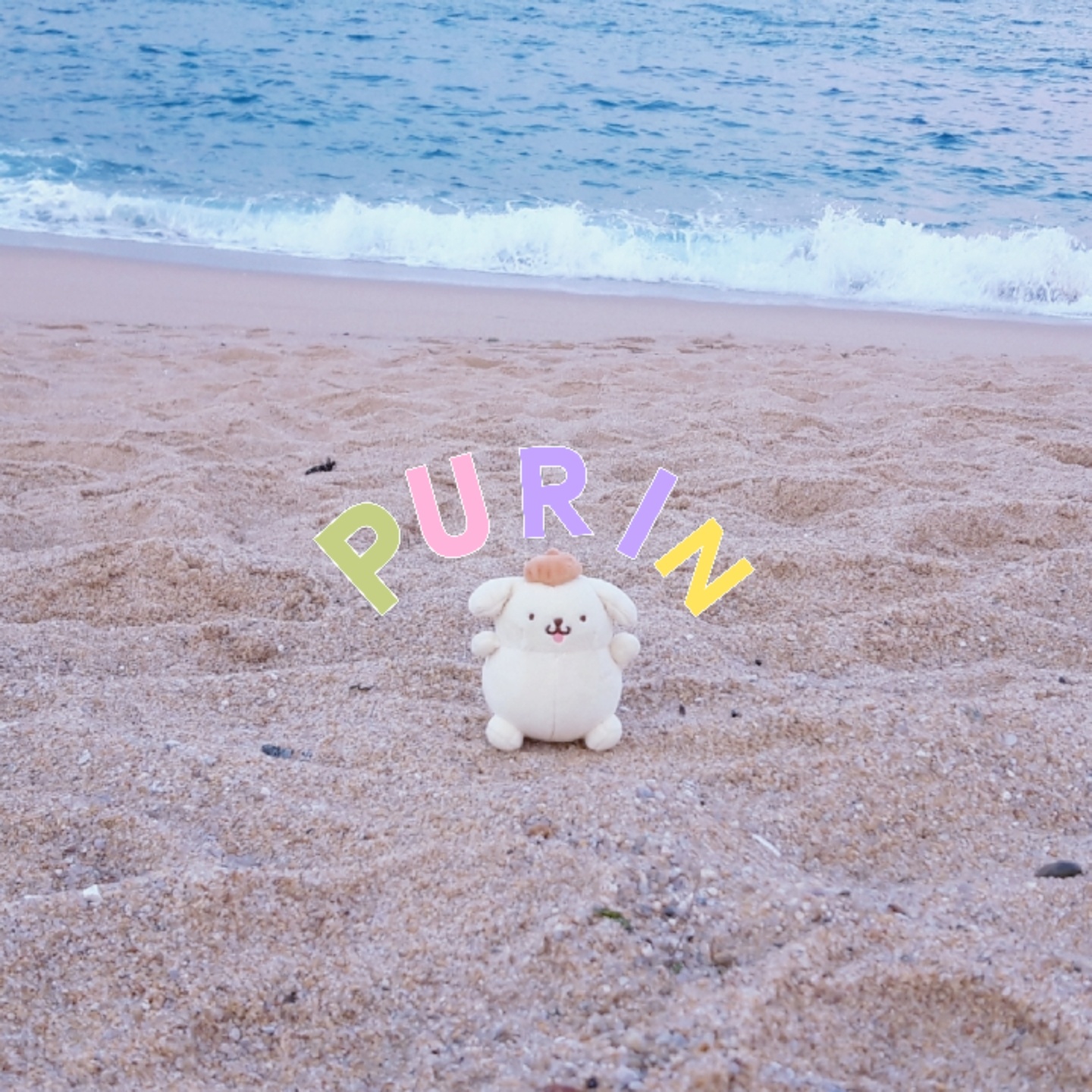 폼폼푸린