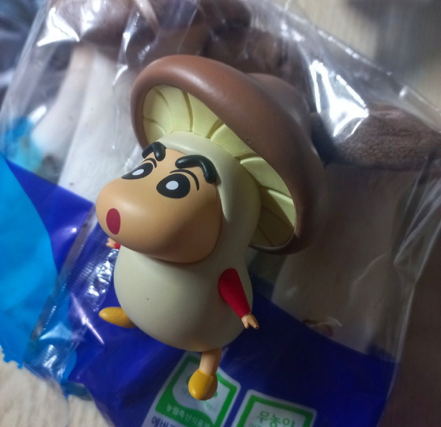 [장꾸캐] 🍄