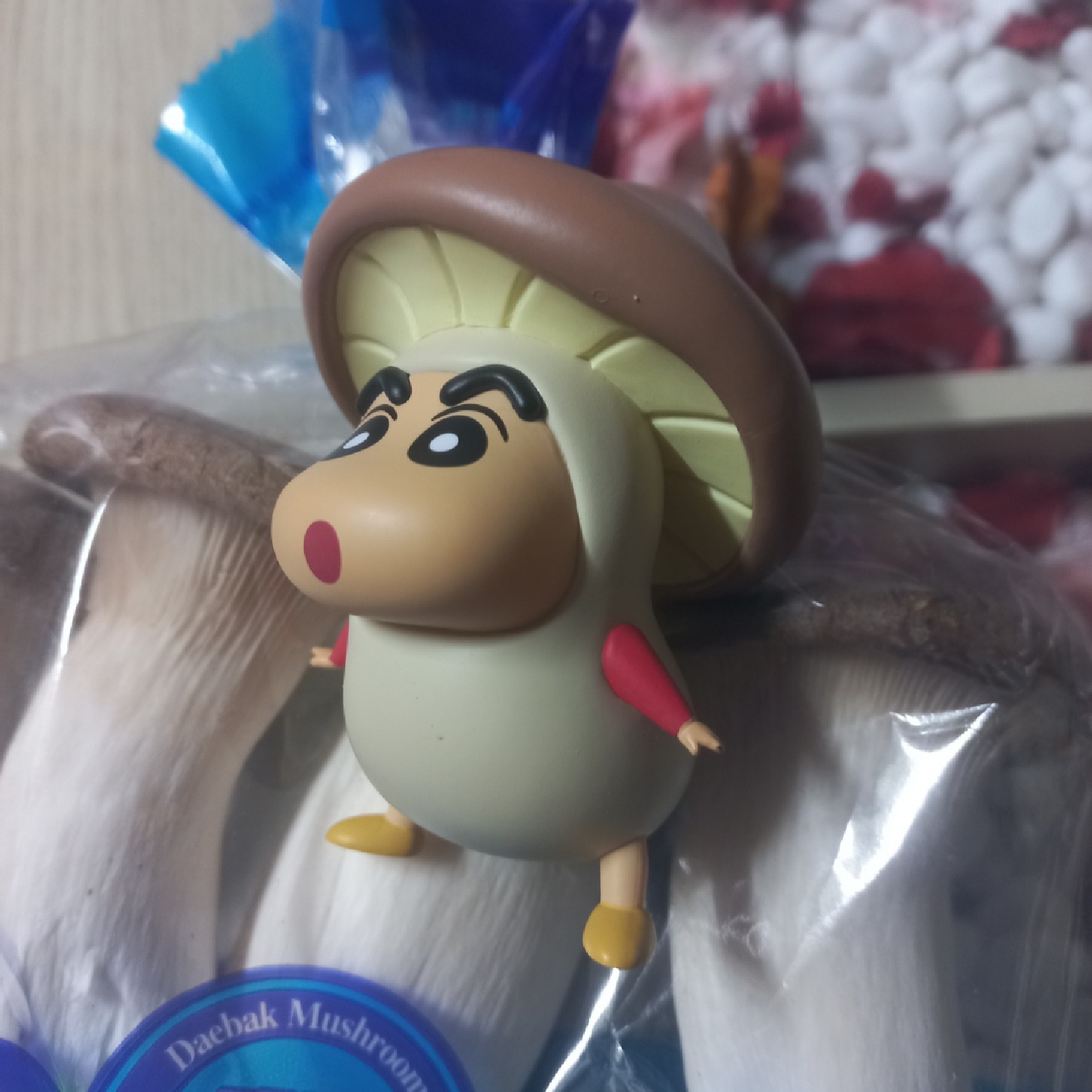 [장꾸캐] 🍄