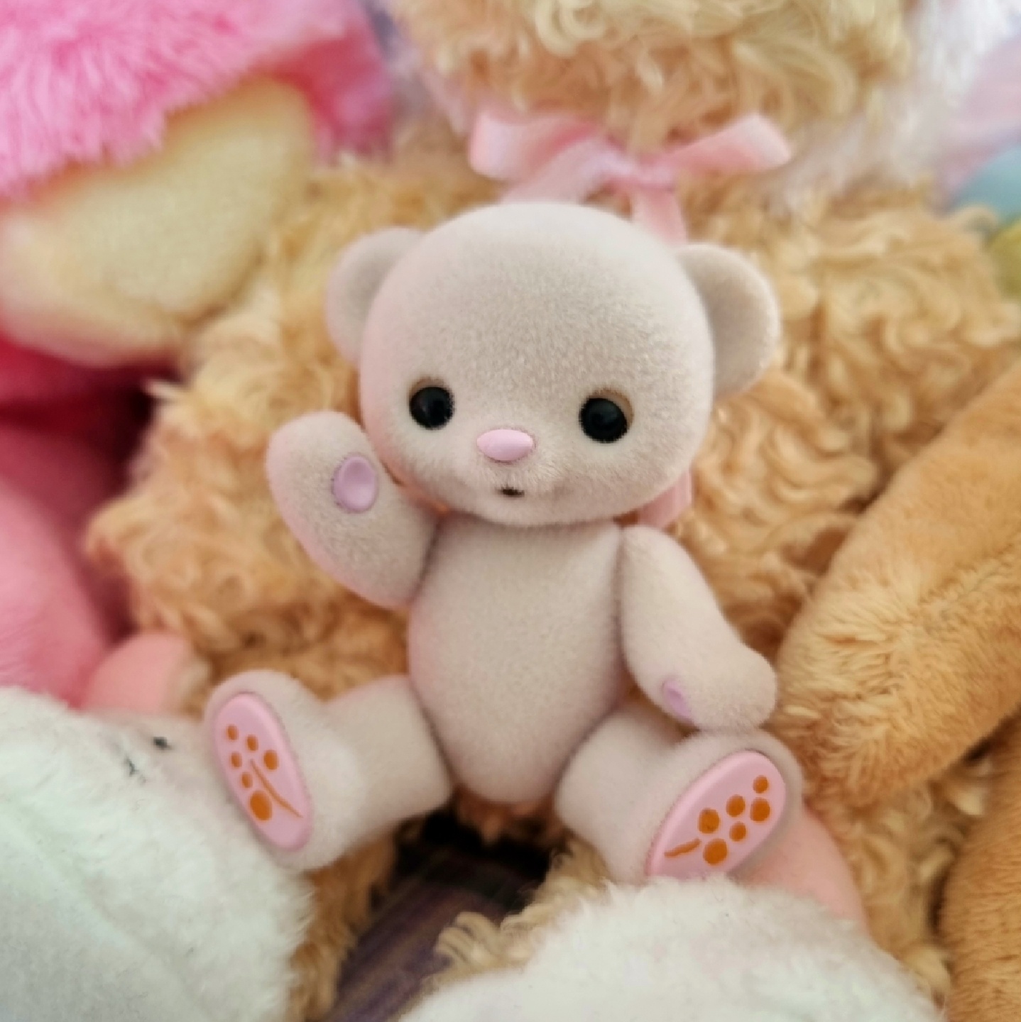 🍯Honey Bear🧸허니베어 미모사