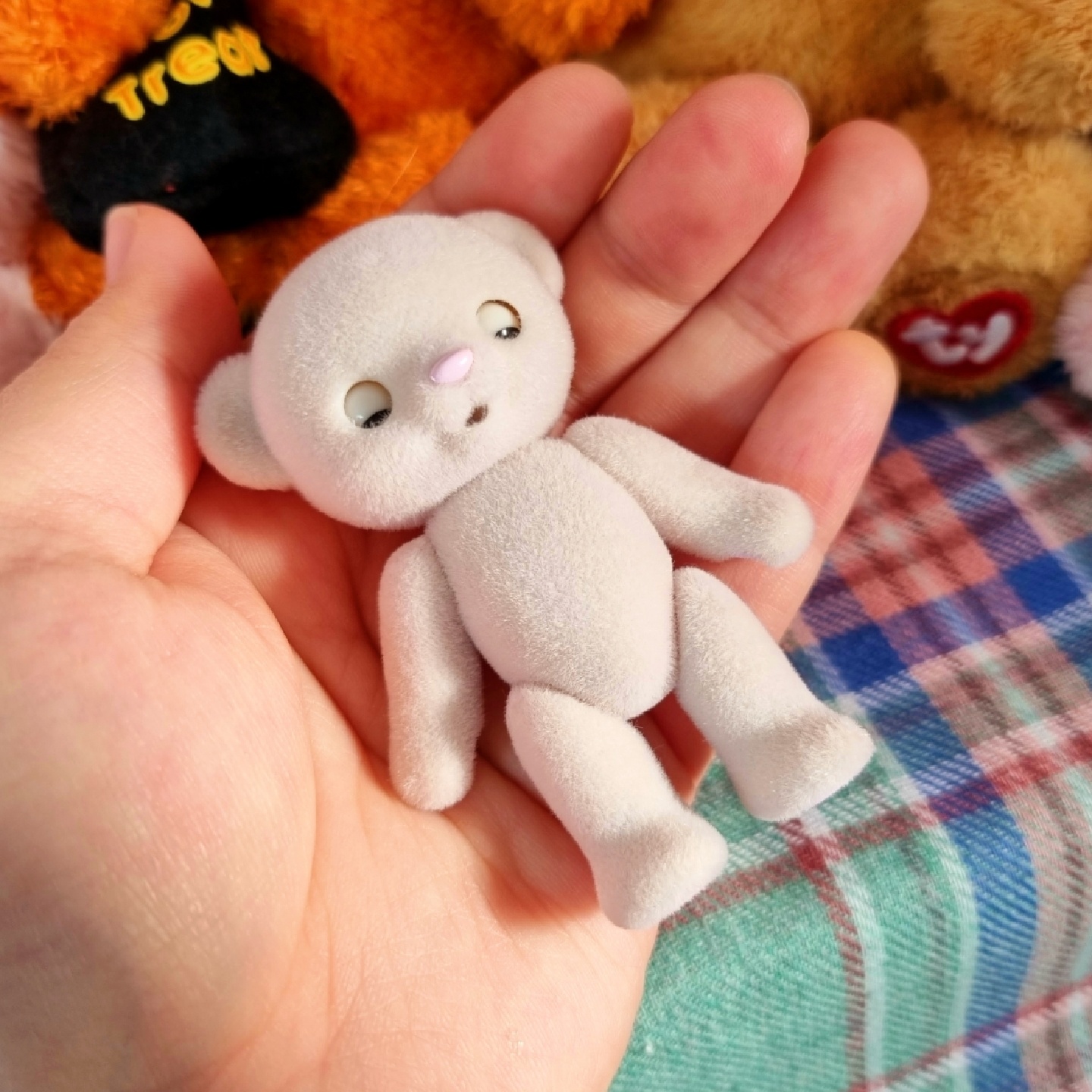 🍯Honey Bear🧸허니베어 미모사