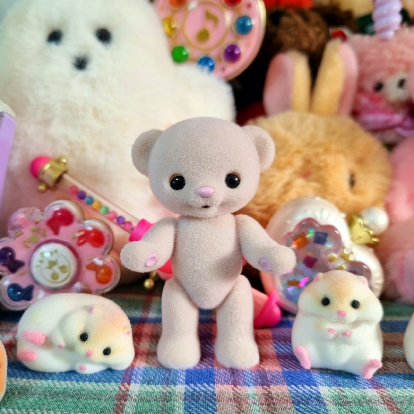 🍯Honey Bear🧸허니베어 미모사