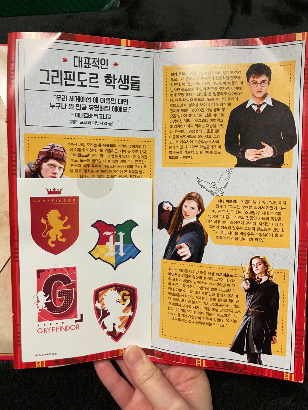 ❤️해리포터 그리핀도르 기숙사 세트🦁