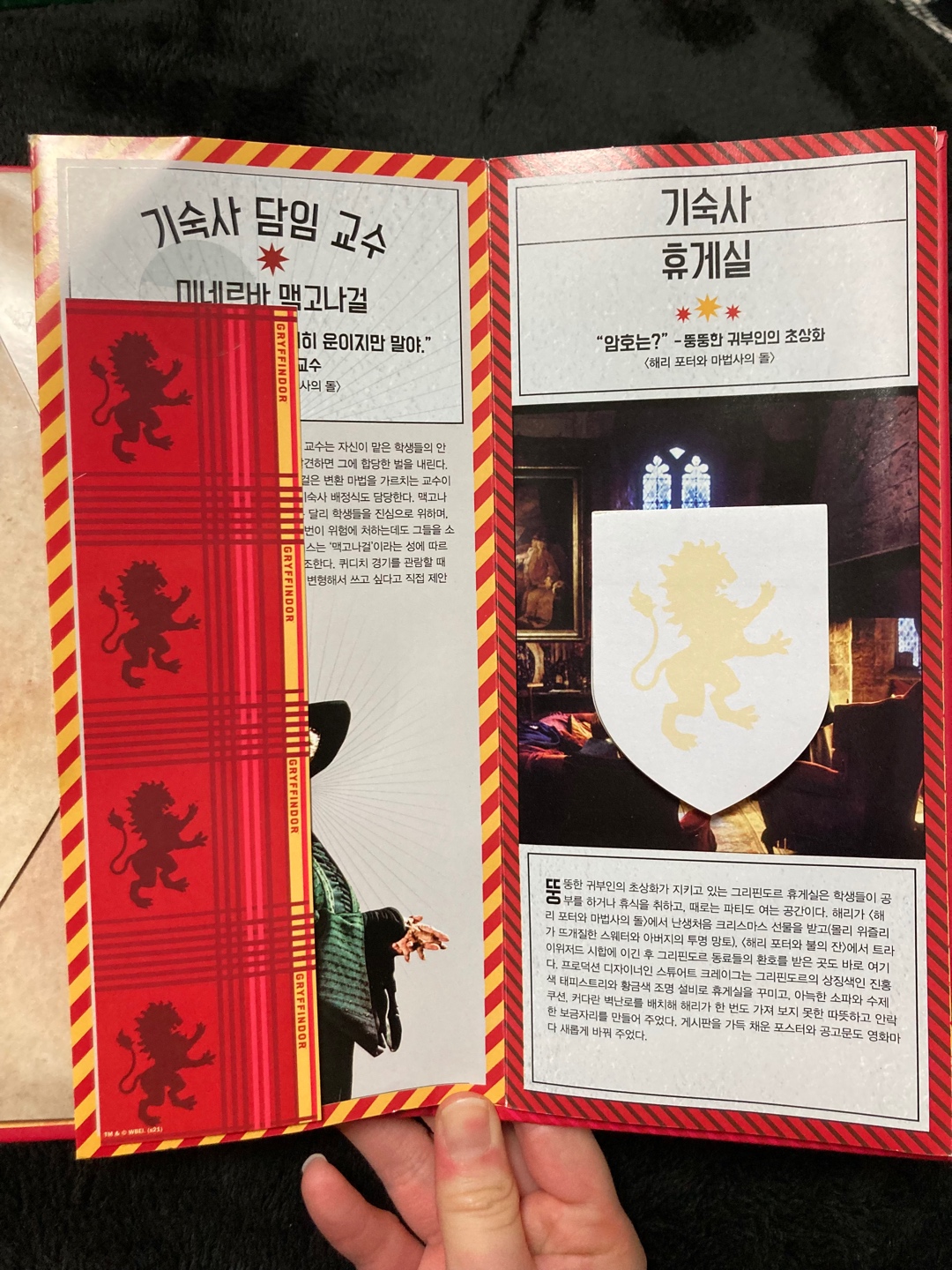 ❤️해리포터 그리핀도르 기숙사 세트🦁