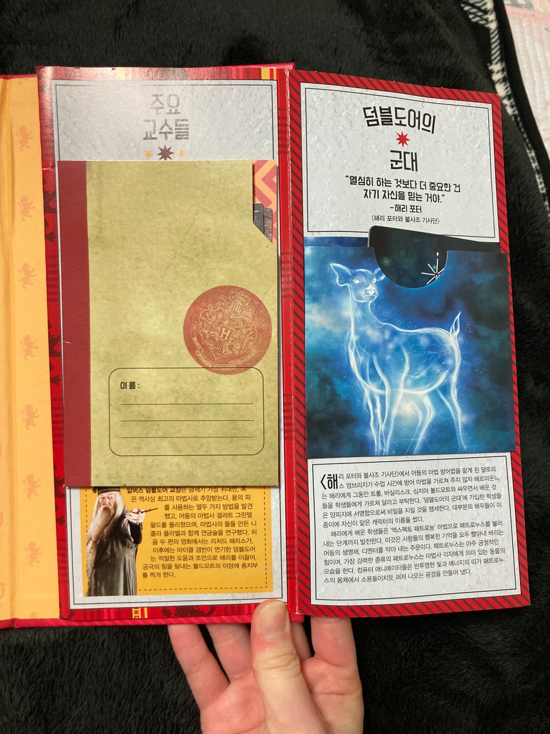 ❤️해리포터 그리핀도르 기숙사 세트🦁