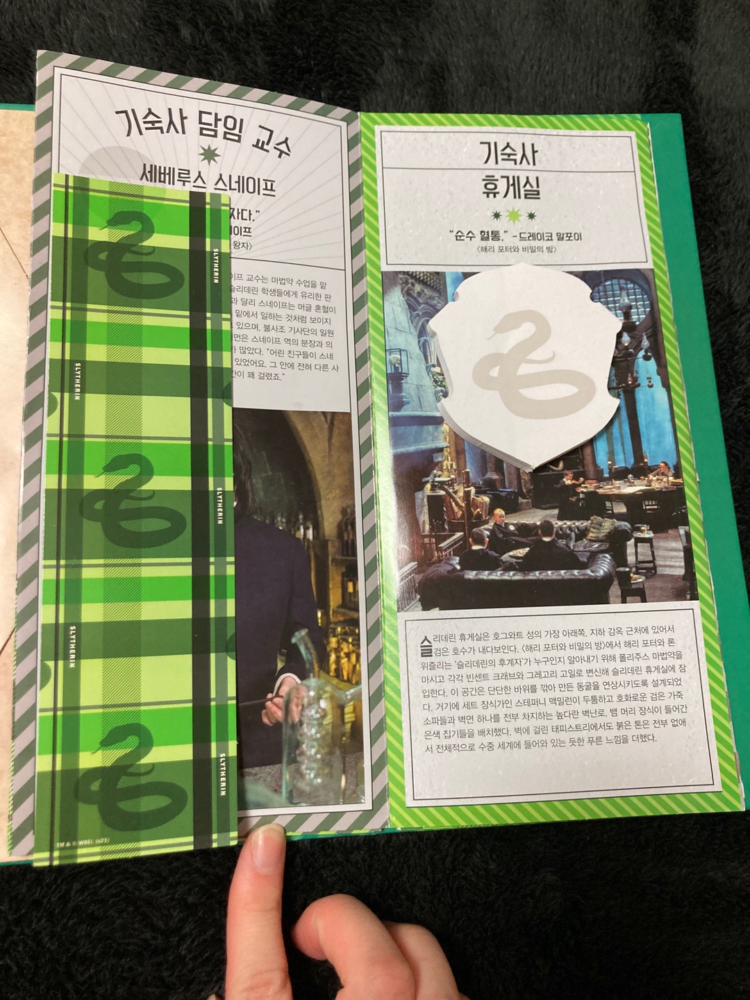 💚해리포터 슬리데린 기숙사세트🐍
