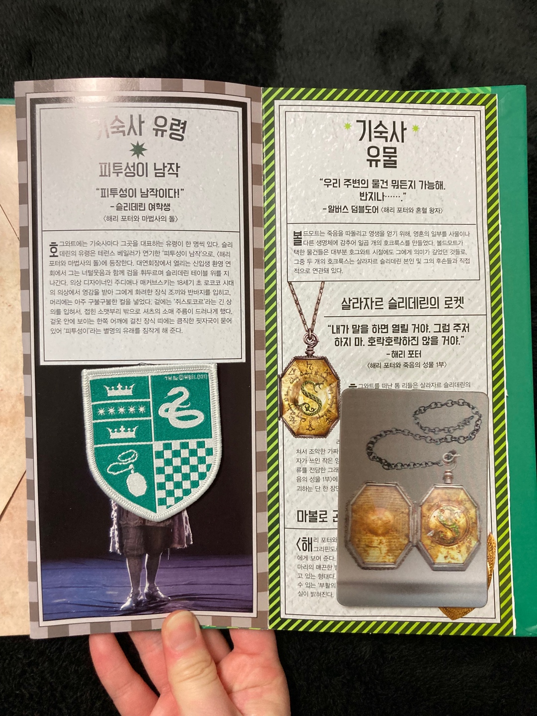 💚해리포터 슬리데린 기숙사세트🐍