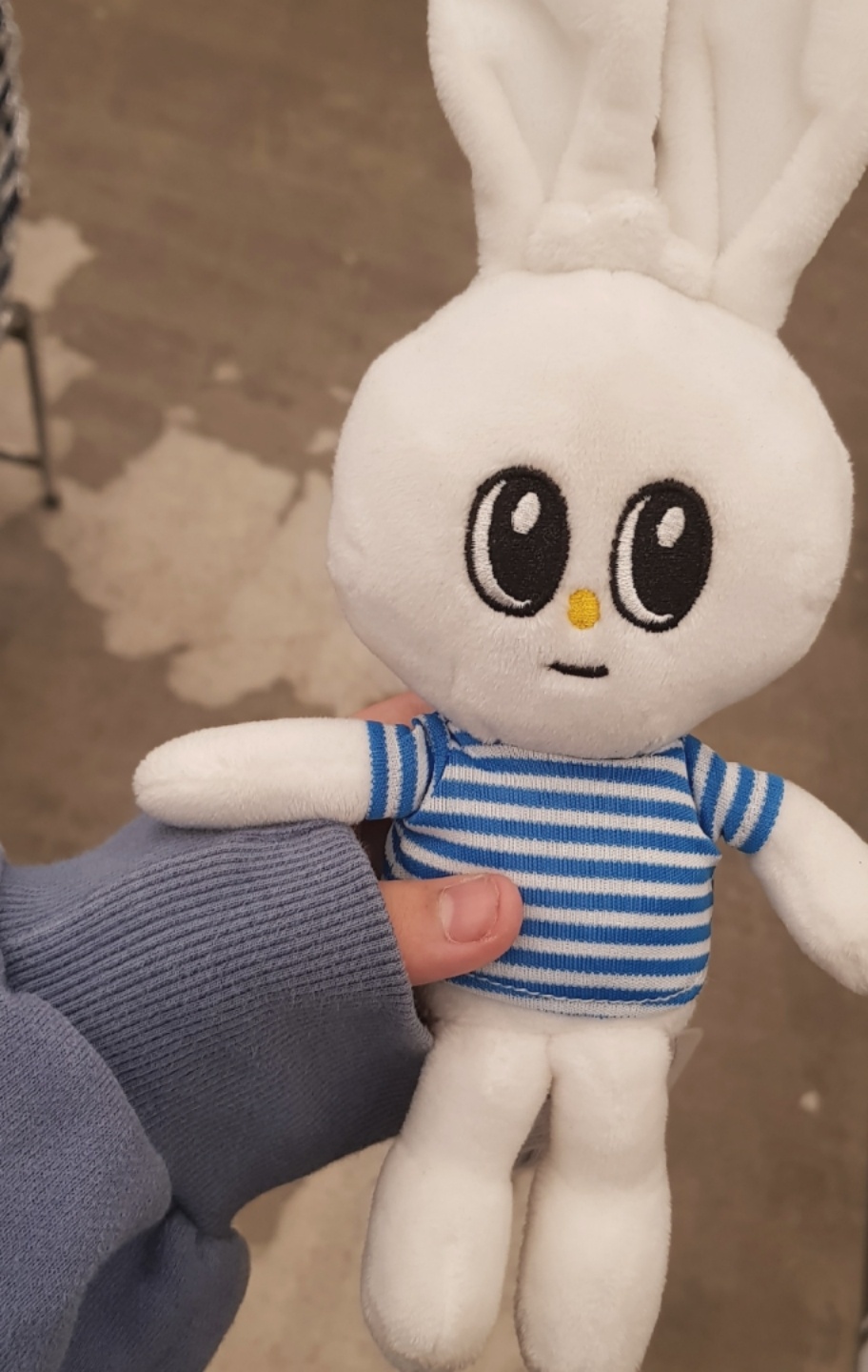 🐰🐰🐰