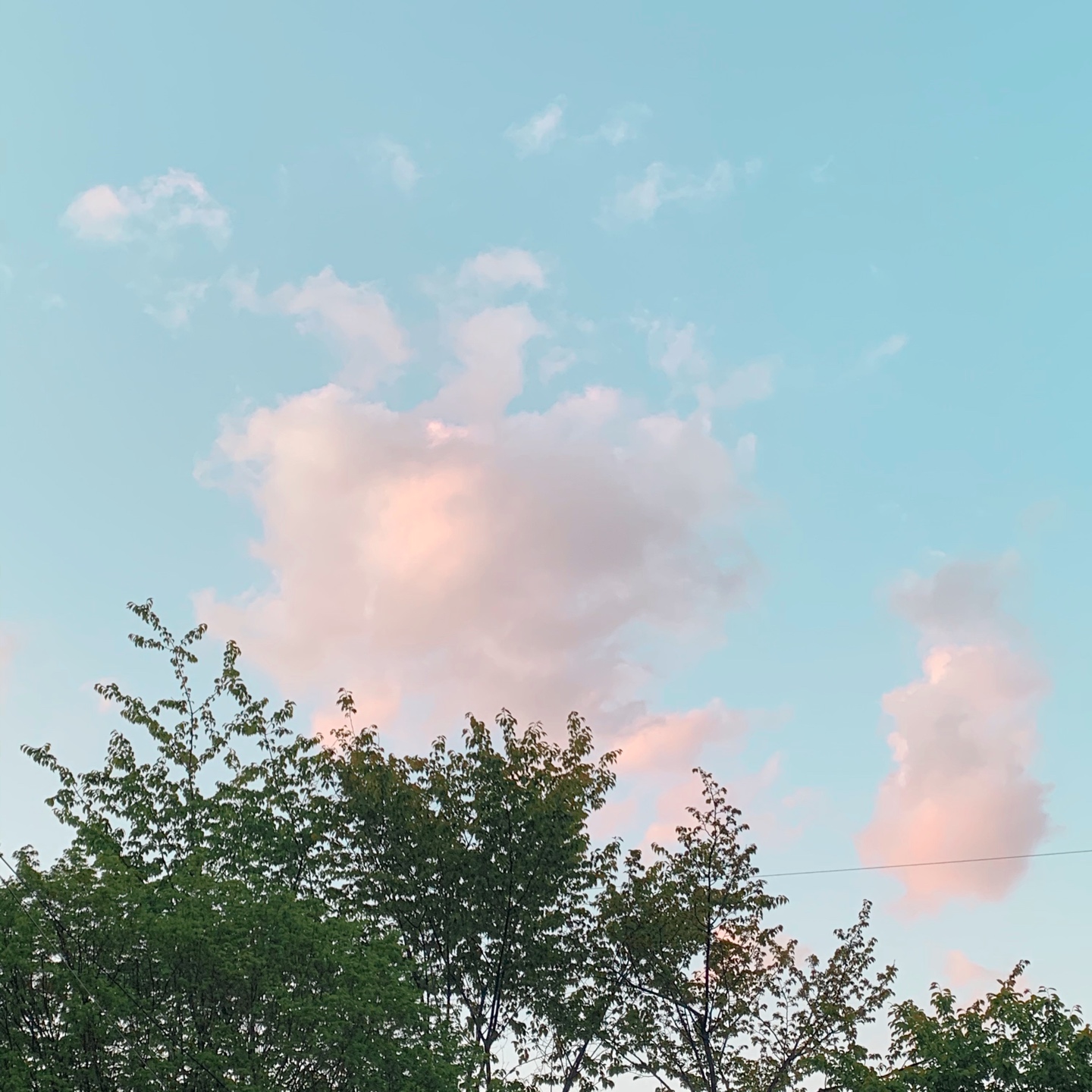 솜뭉치🌤