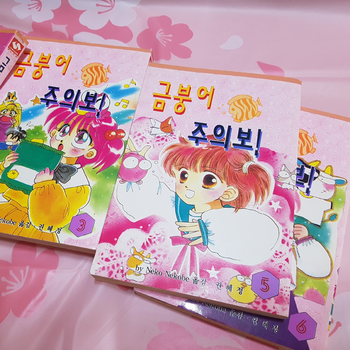 금붕어 주의보