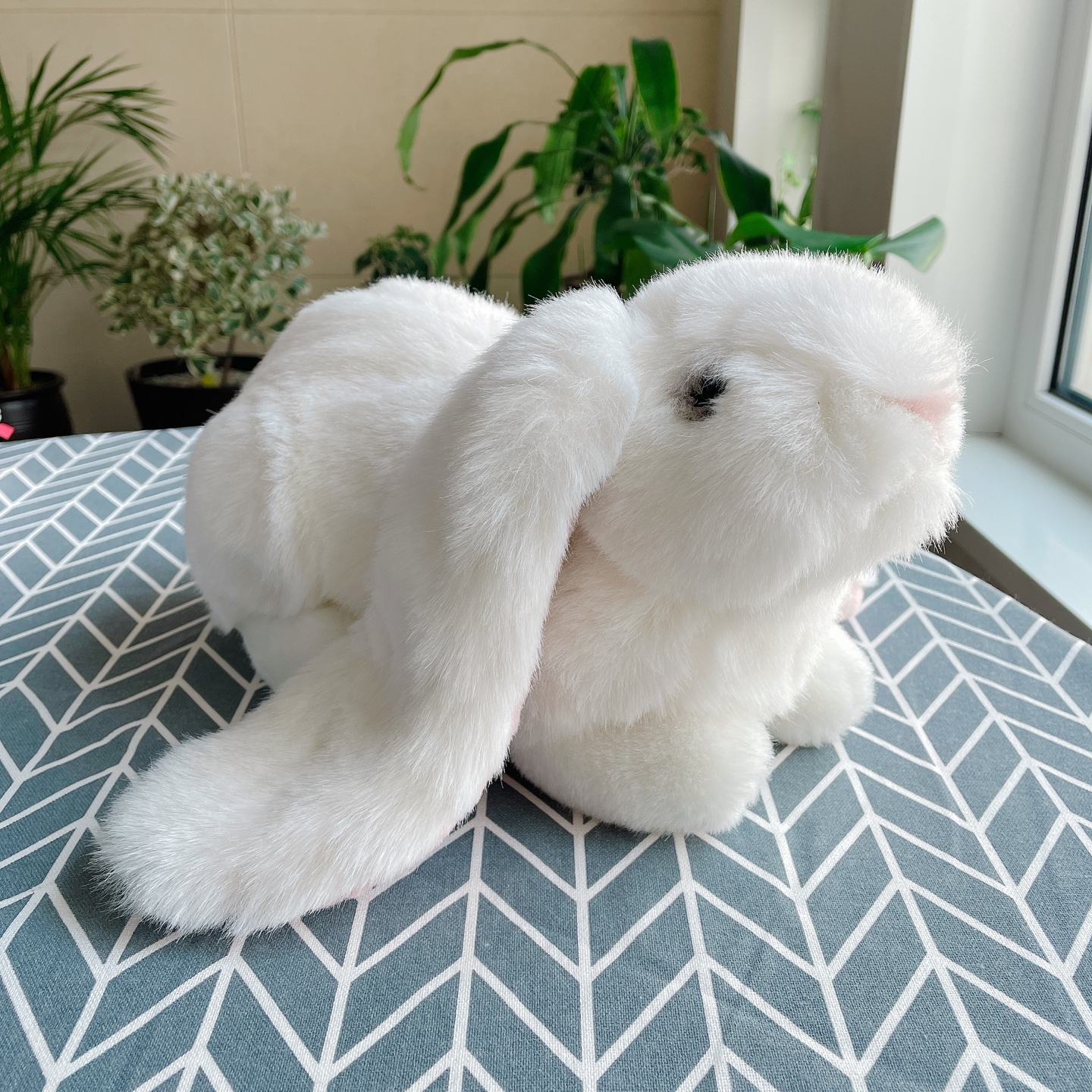 🐰롭이어 토끼🐰