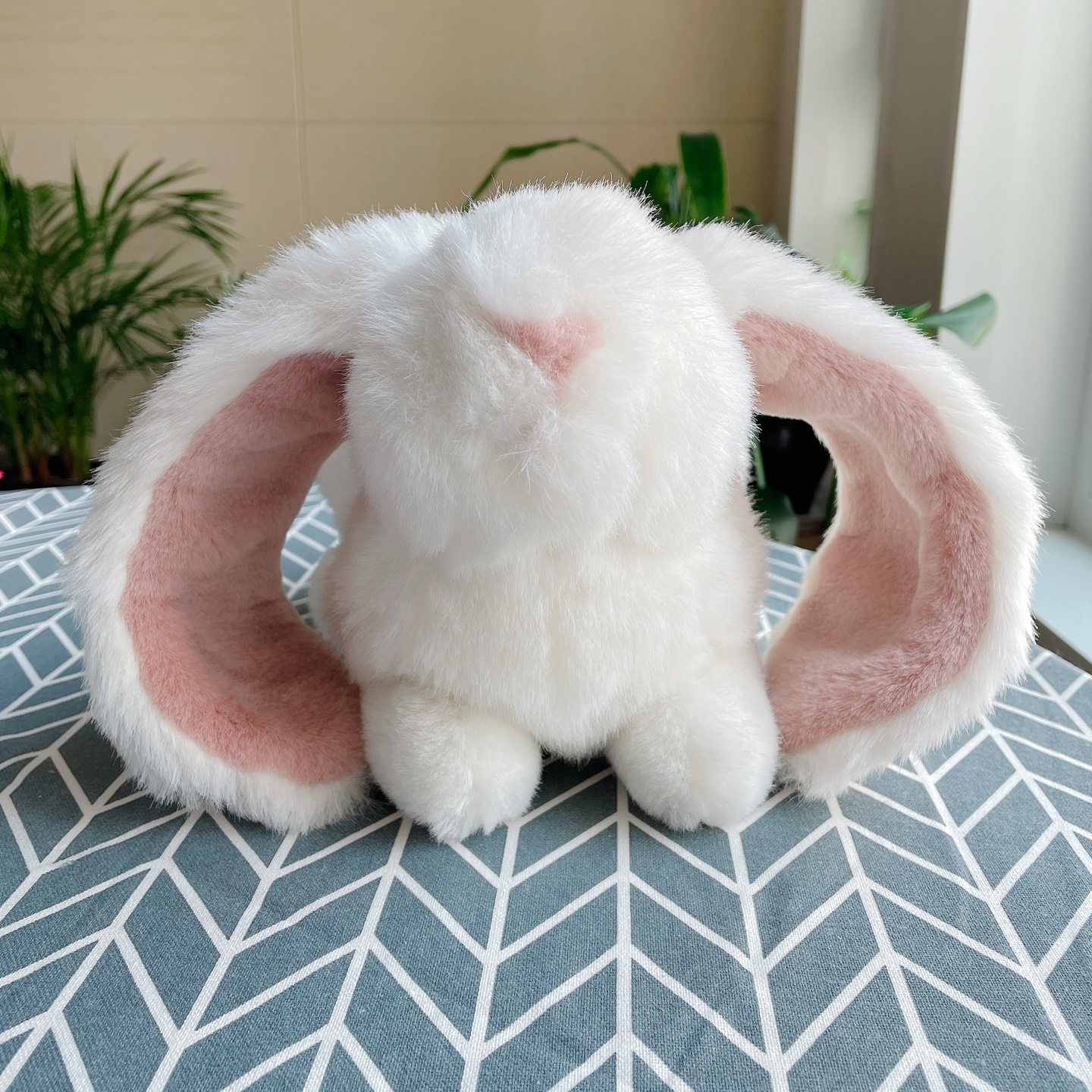 🐰롭이어 토끼🐰