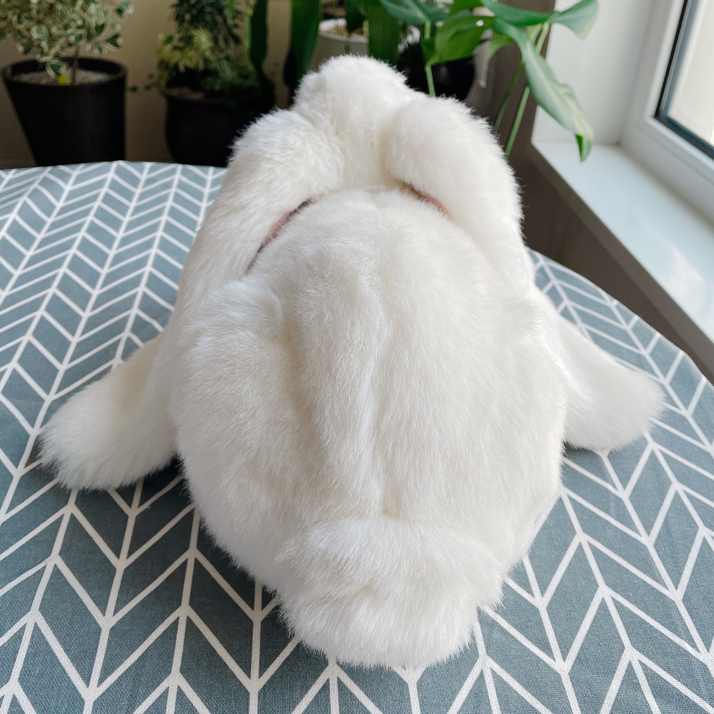 🐰롭이어 토끼🐰