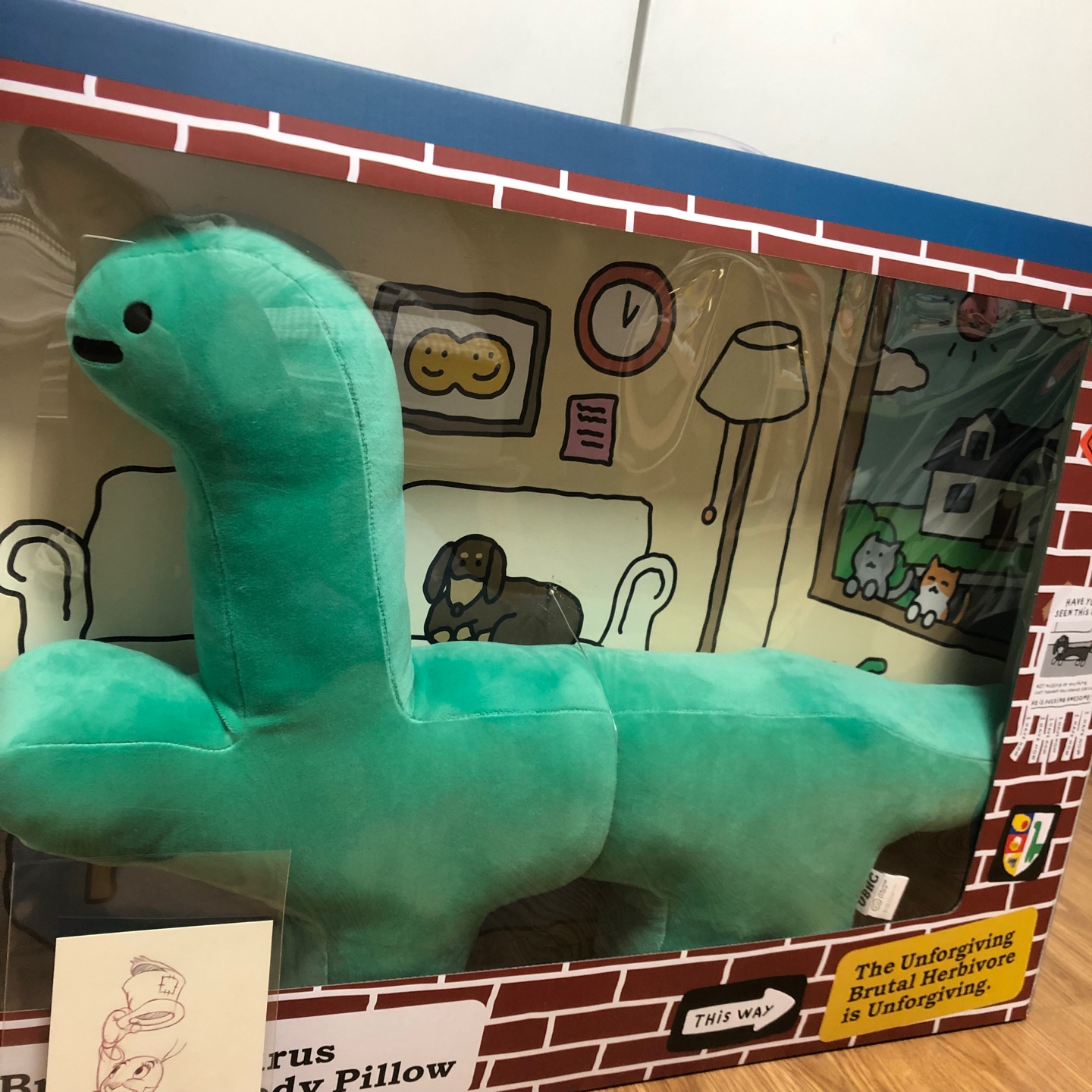 콜리에서 준 선물💚
