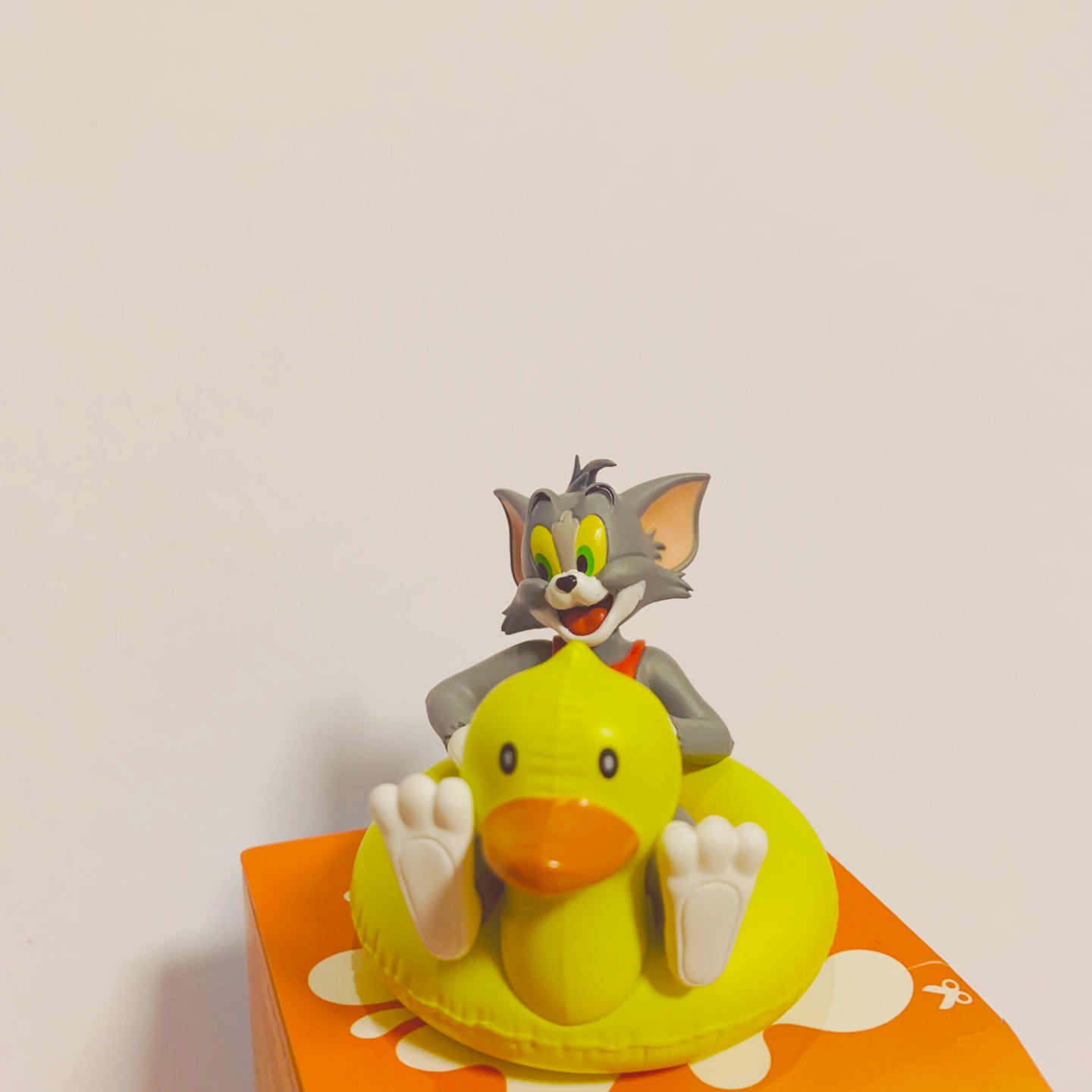 🐱🐤
