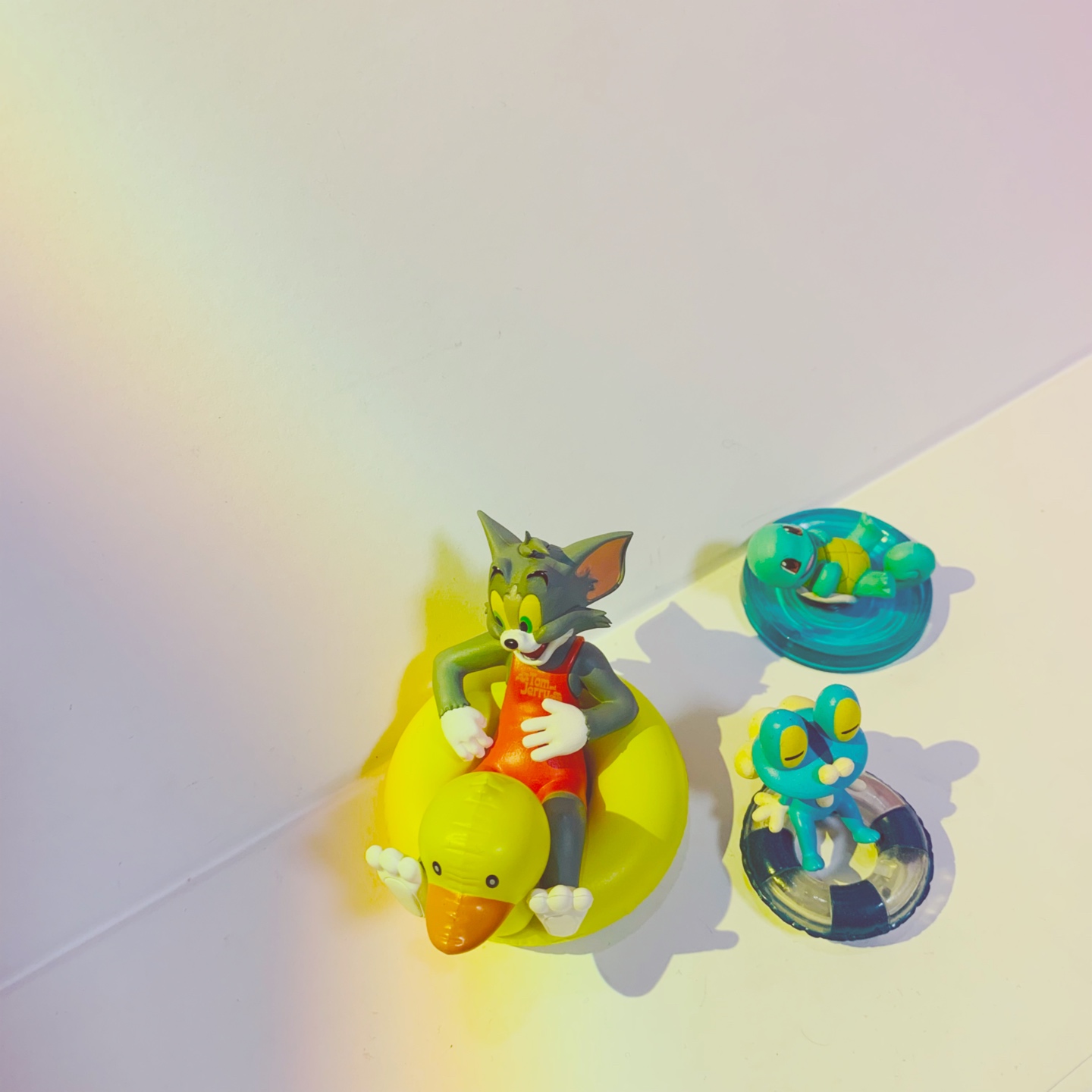 🐱🐤