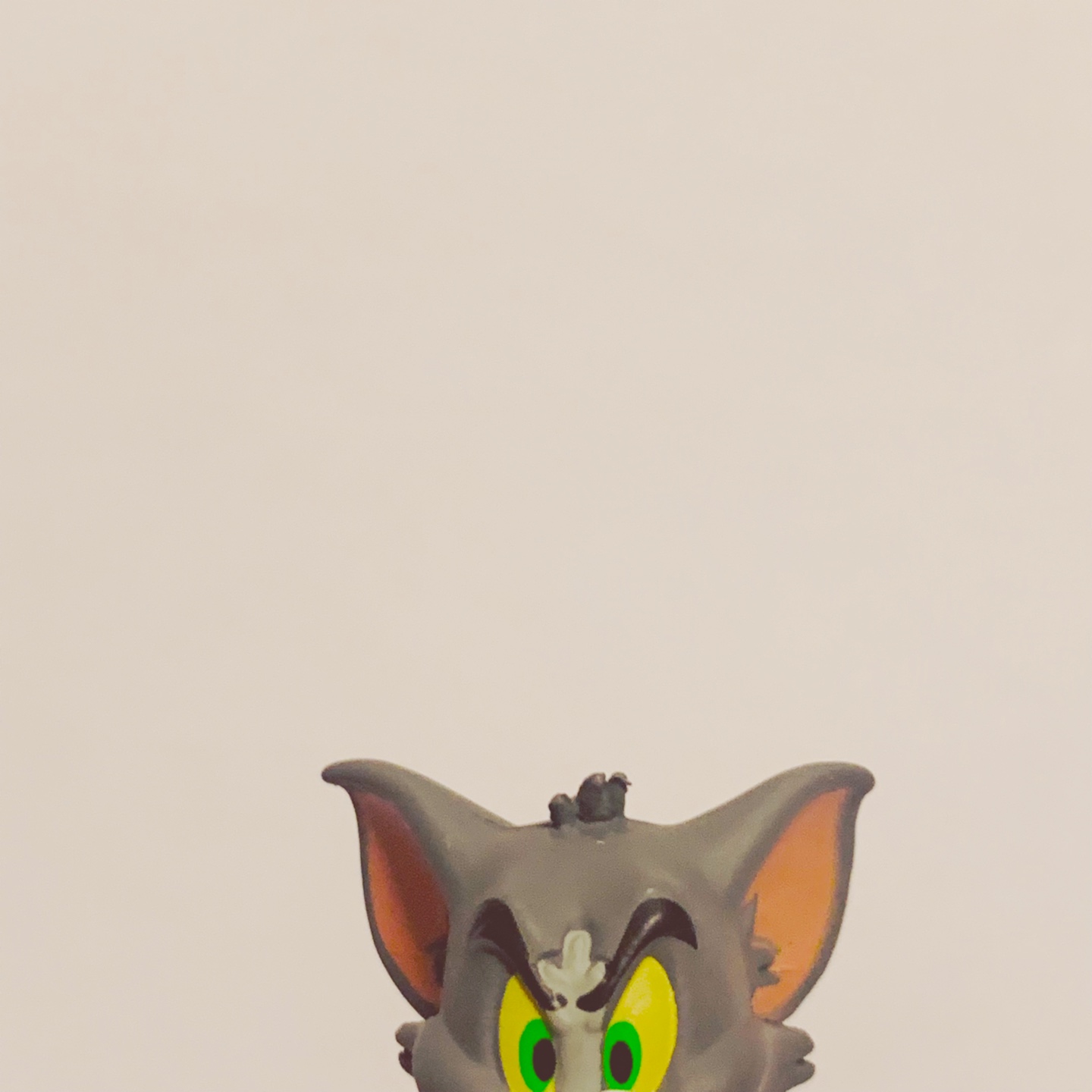 🐱🦦