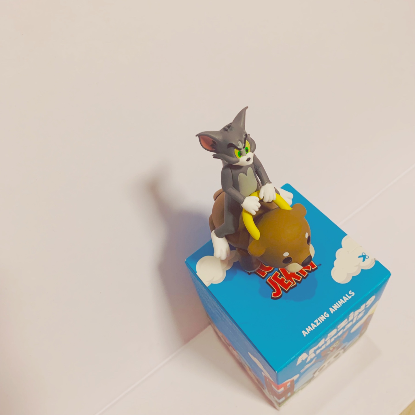 🐱🦦