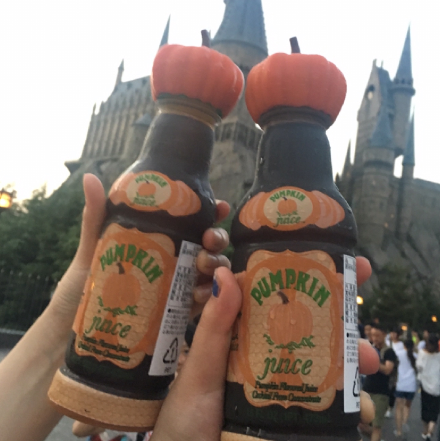 라떼는 홀스