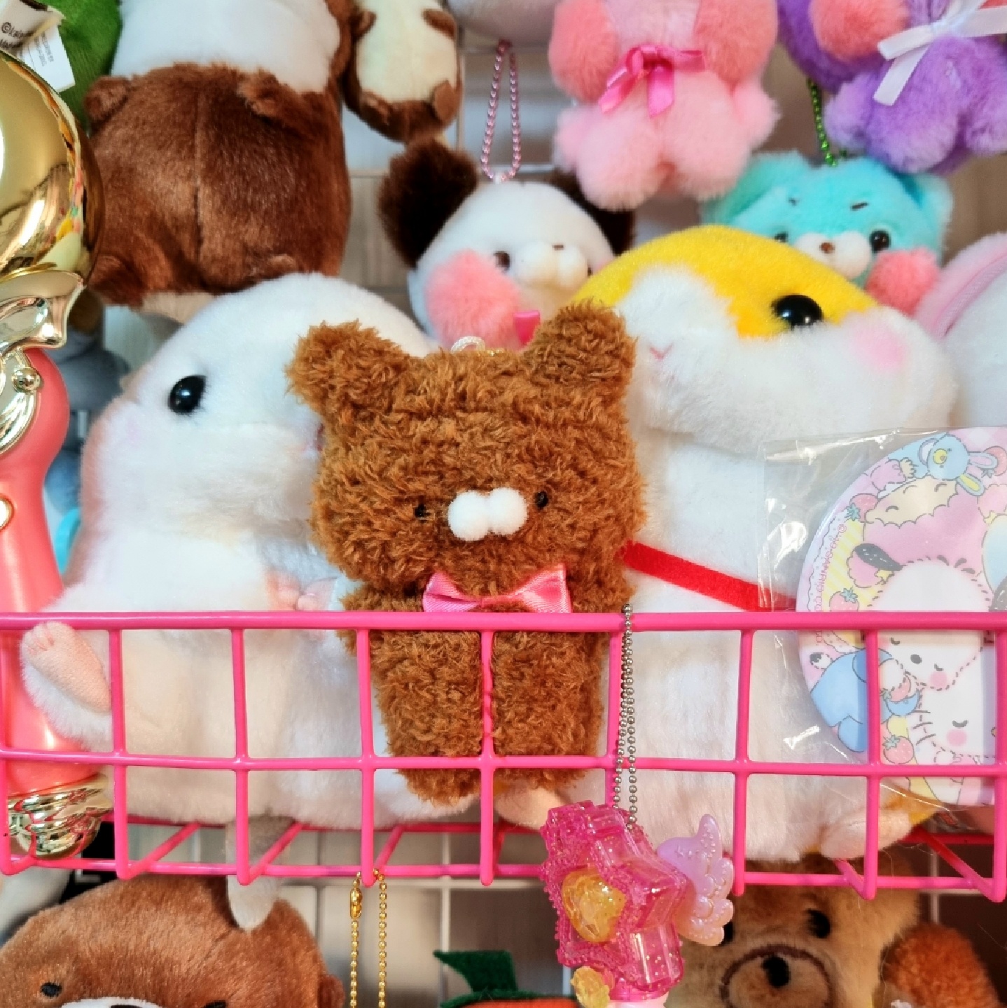 🎀오토보케 쿠마상🐻