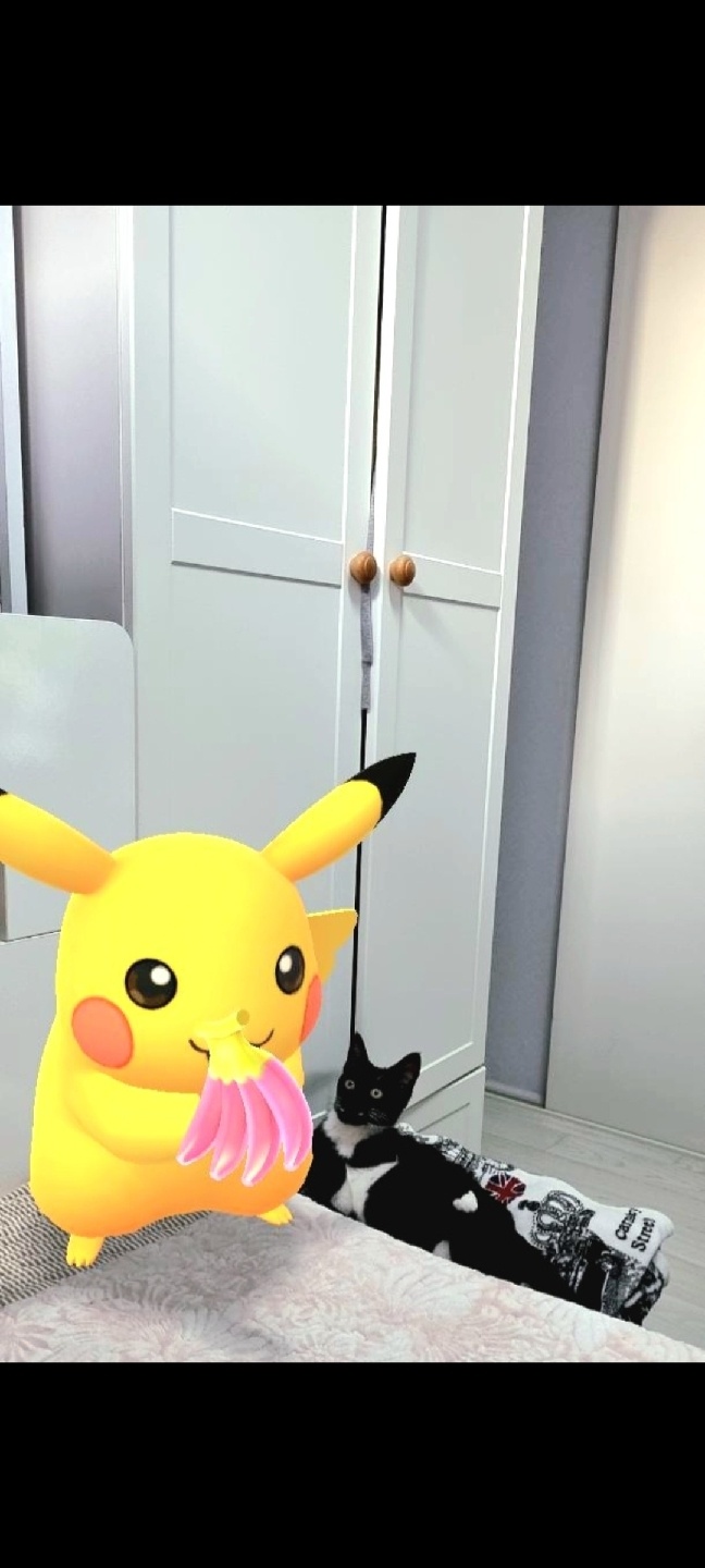 🐈‍⬛🍌피카츄🍌🐈‍⬛