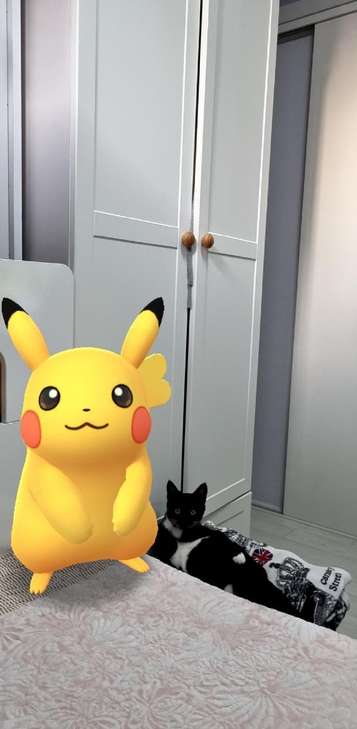 🐈‍⬛🍌피카츄🍌🐈‍⬛