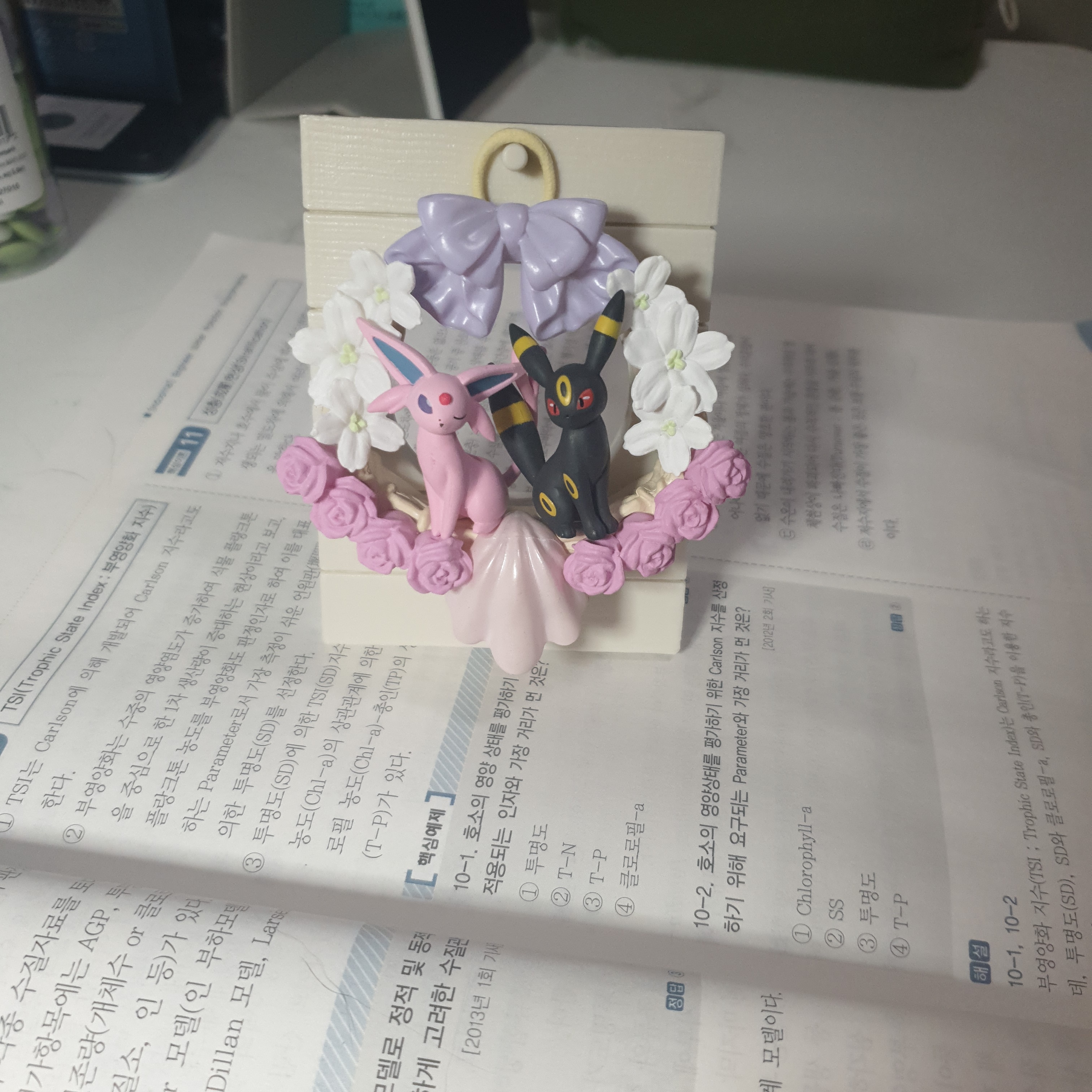 포켓몬리스 블래키