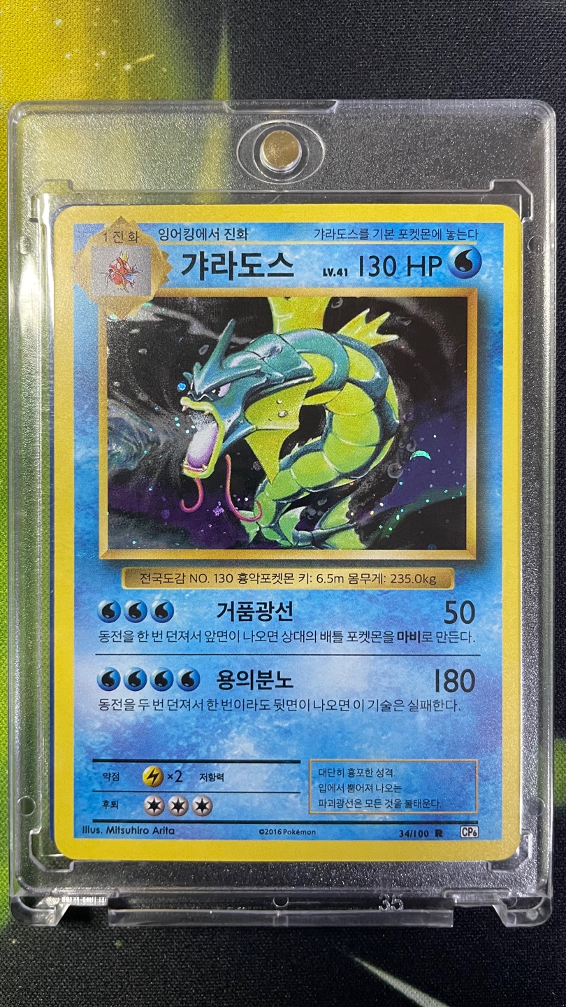 20주년 한정판 리자몽