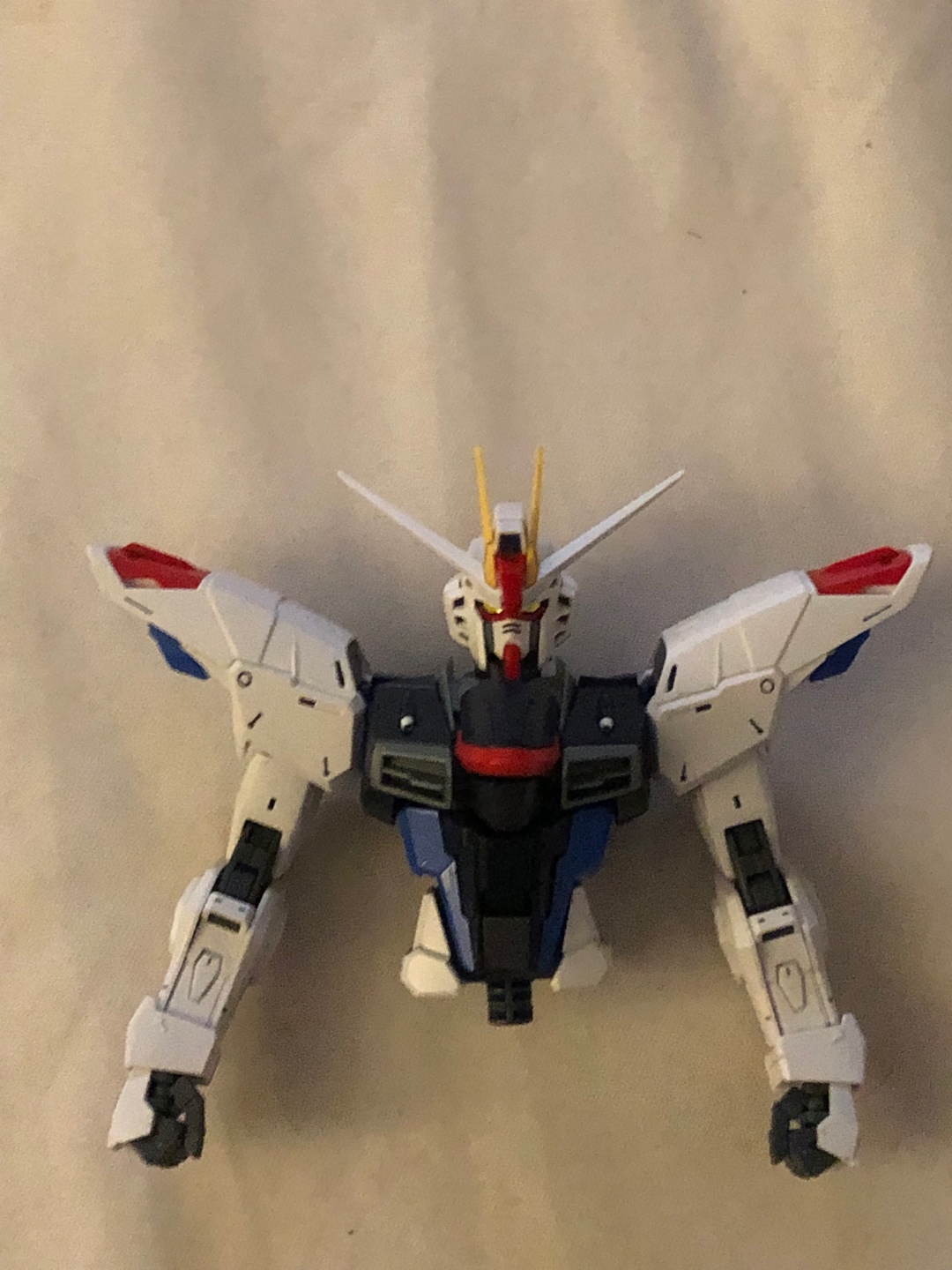 프리덤 건담 mg 2.0