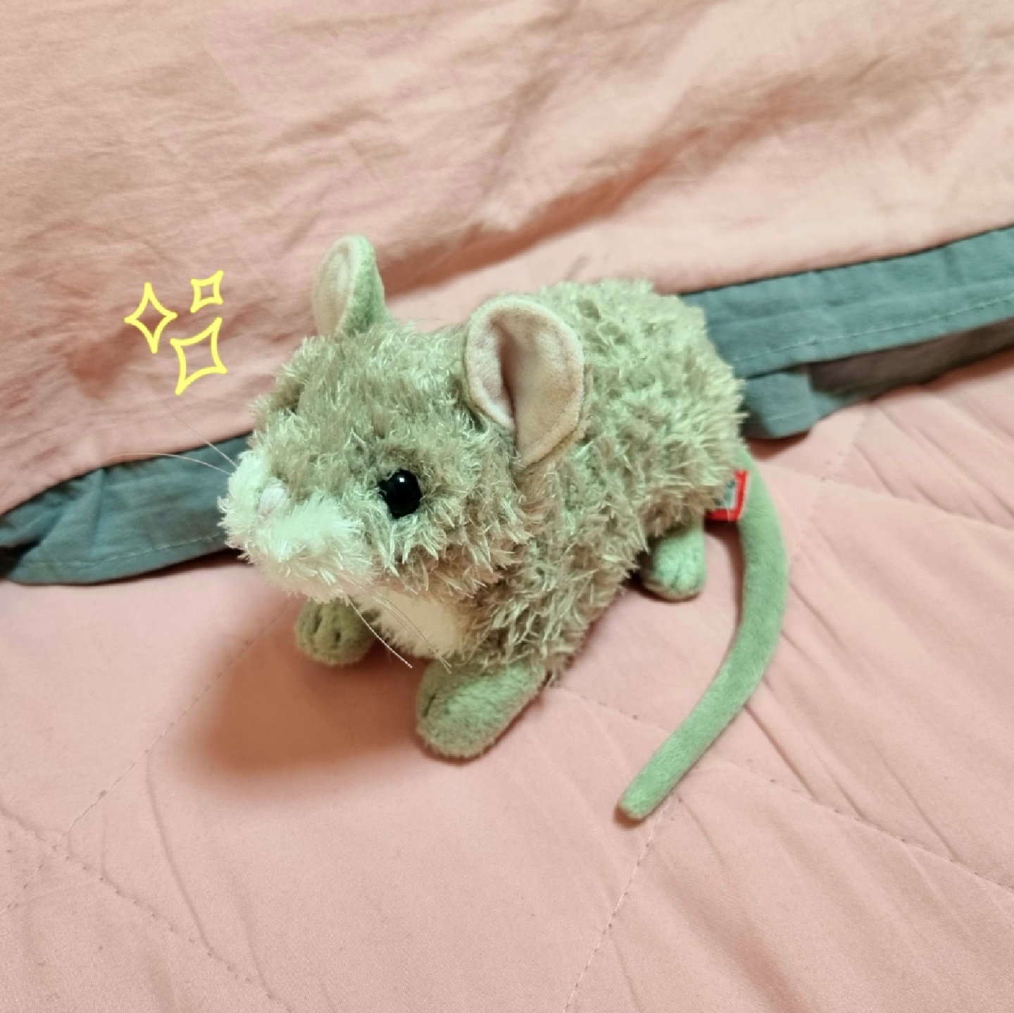 더글라스 생쥐 인형🐀