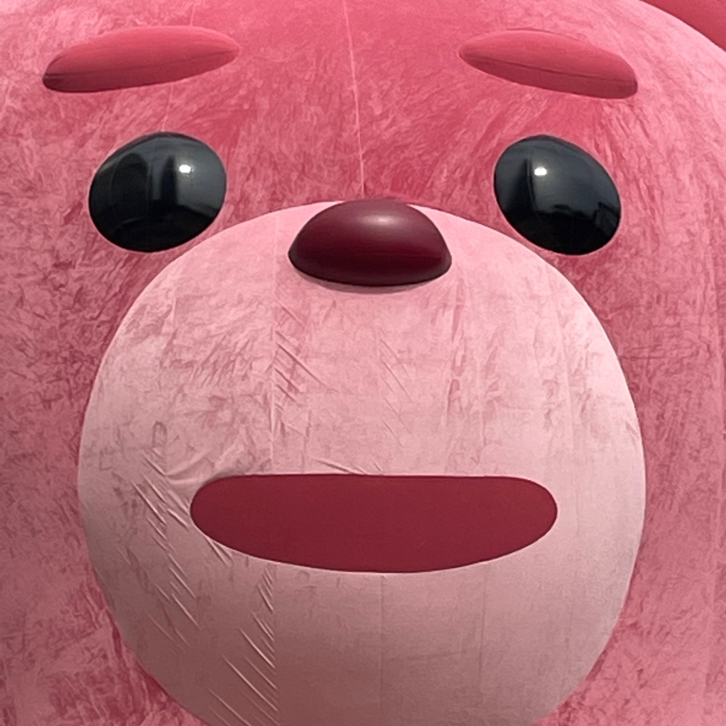억울한 벨리곰