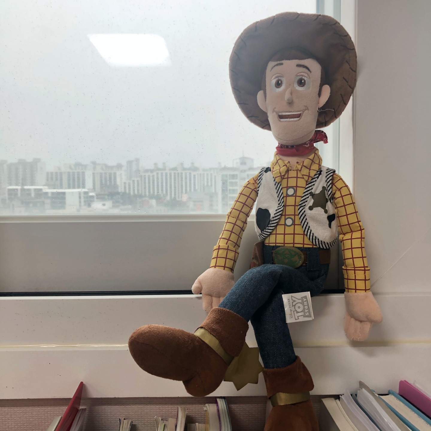 A rainy day with Woody☔️