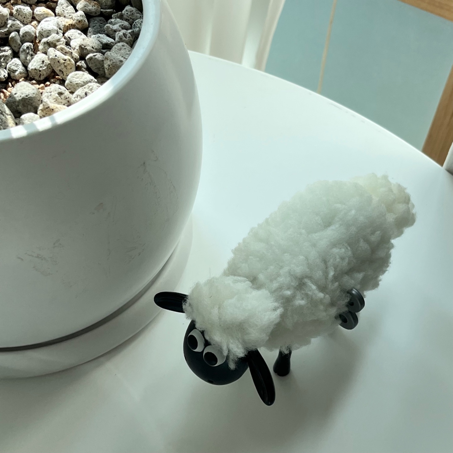 숀더쉽도 합류!🐑🖤